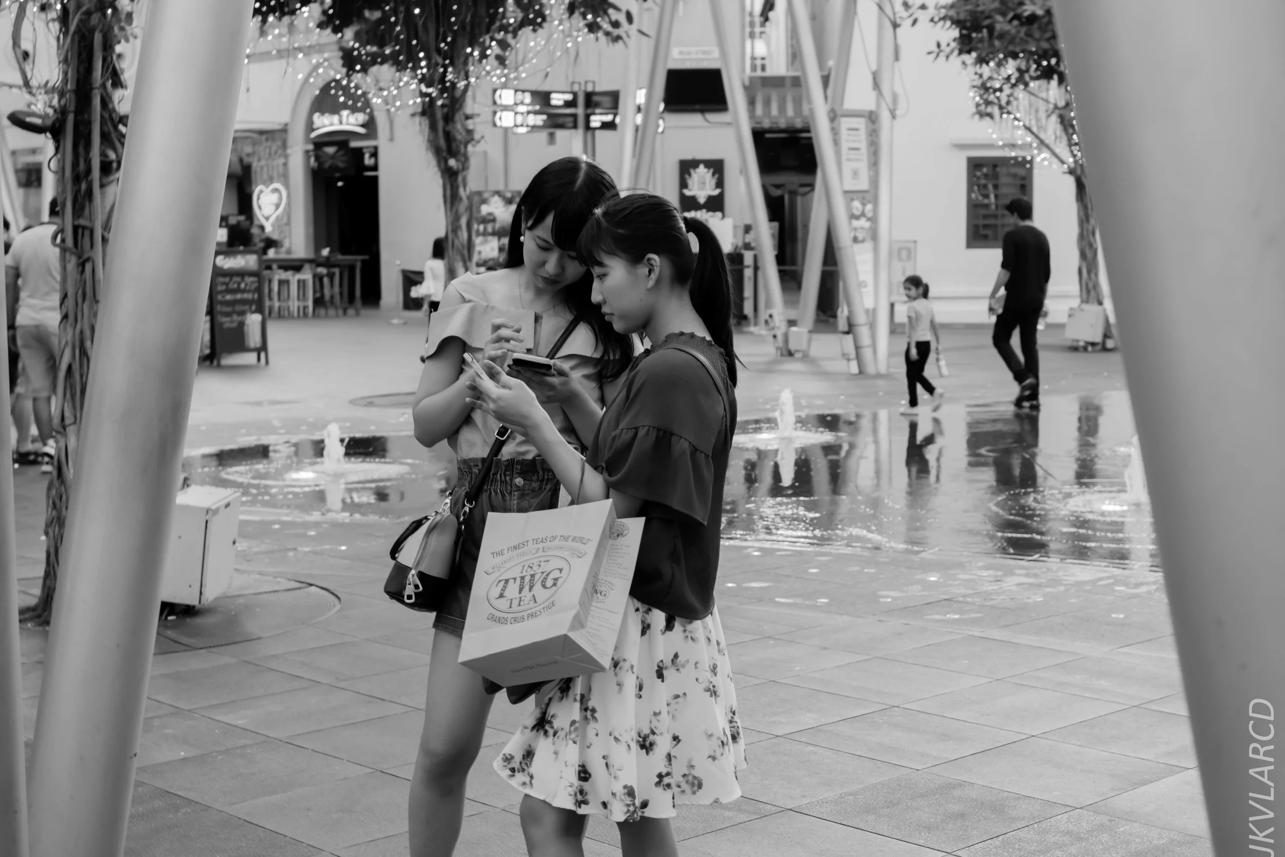 EOS 7D Mark II_2019_02_06_1532.jpg