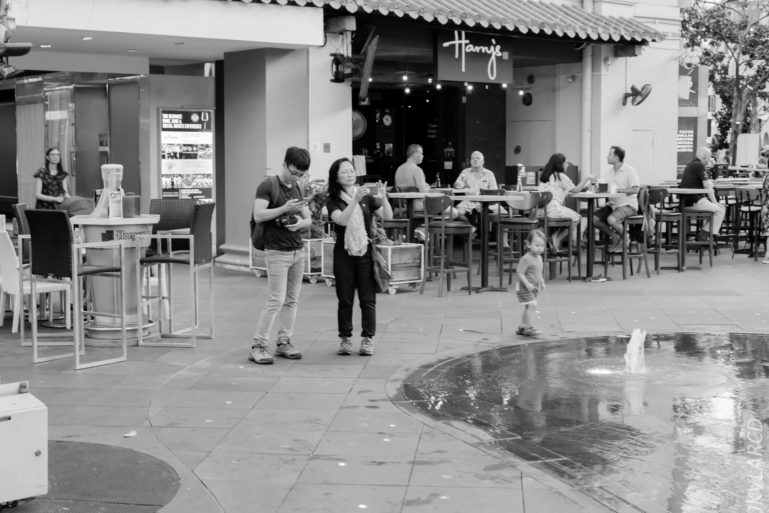 EOS 7D Mark II_2019_02_06_1537.jpg