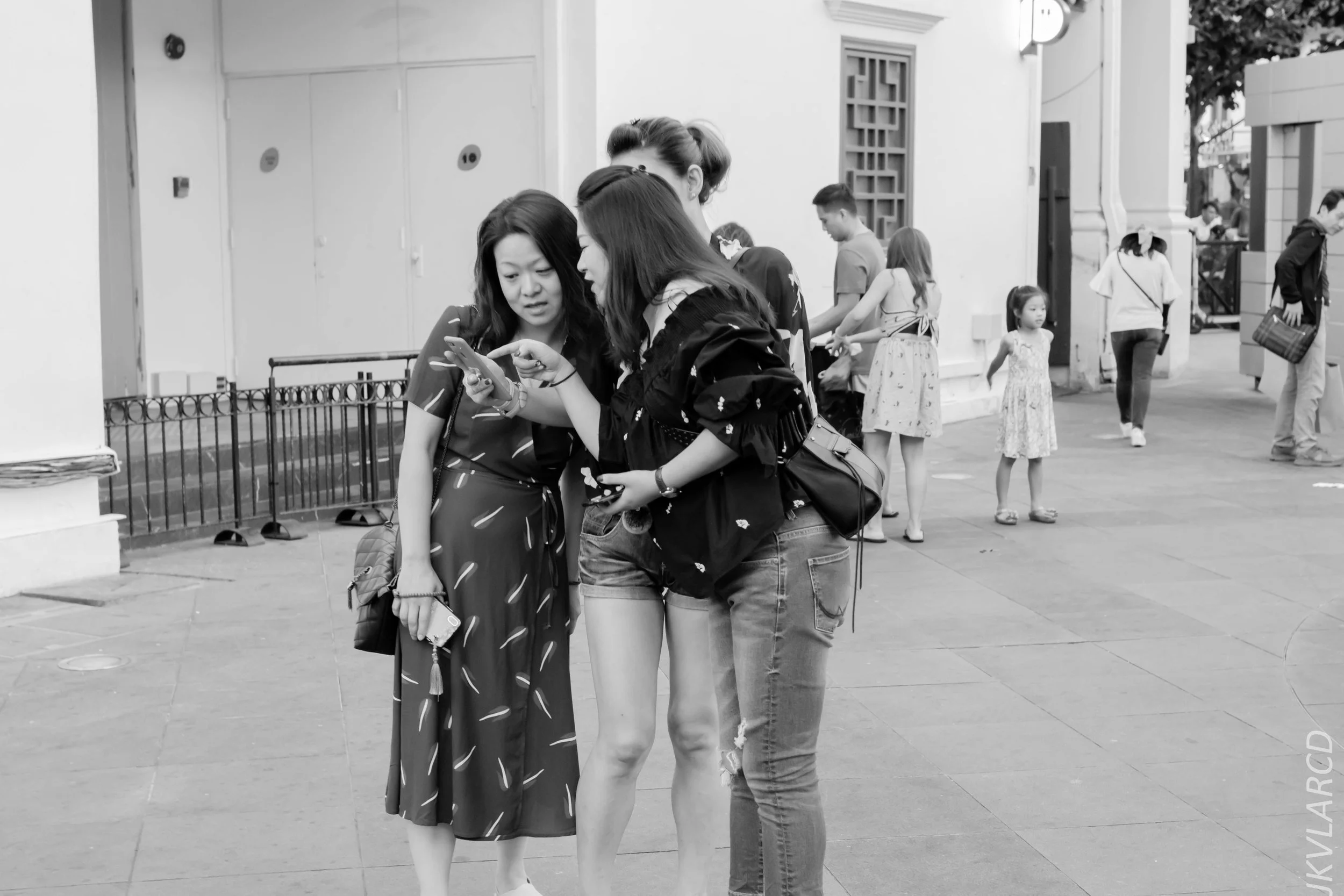 EOS 7D Mark II_2019_02_06_1538.jpg