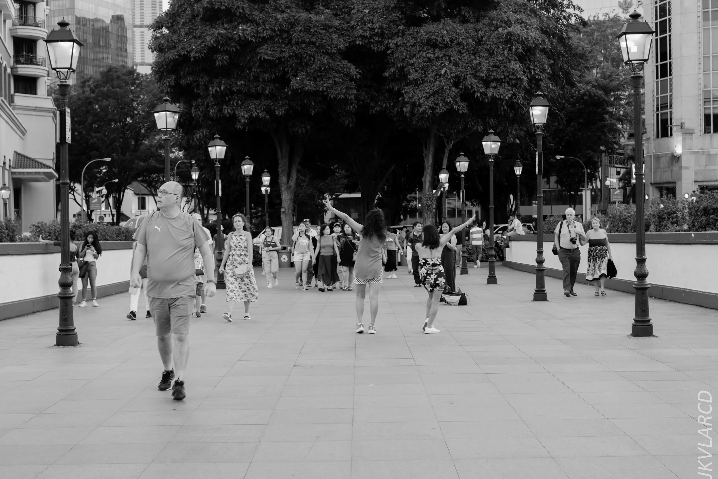 EOS 7D Mark II_2019_02_06_1549.jpg