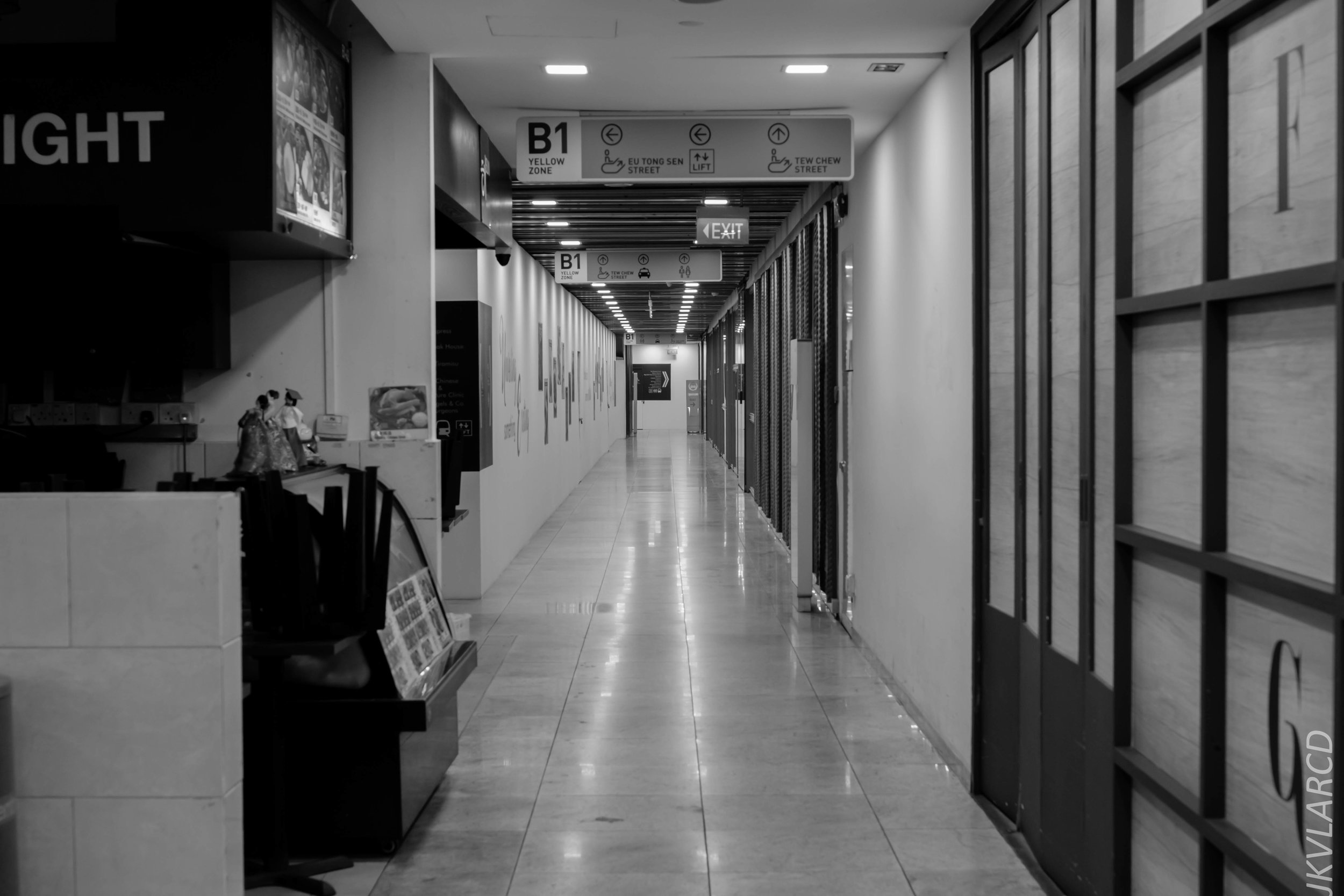 EOS 7D Mark II_2019_02_06_1557.jpg