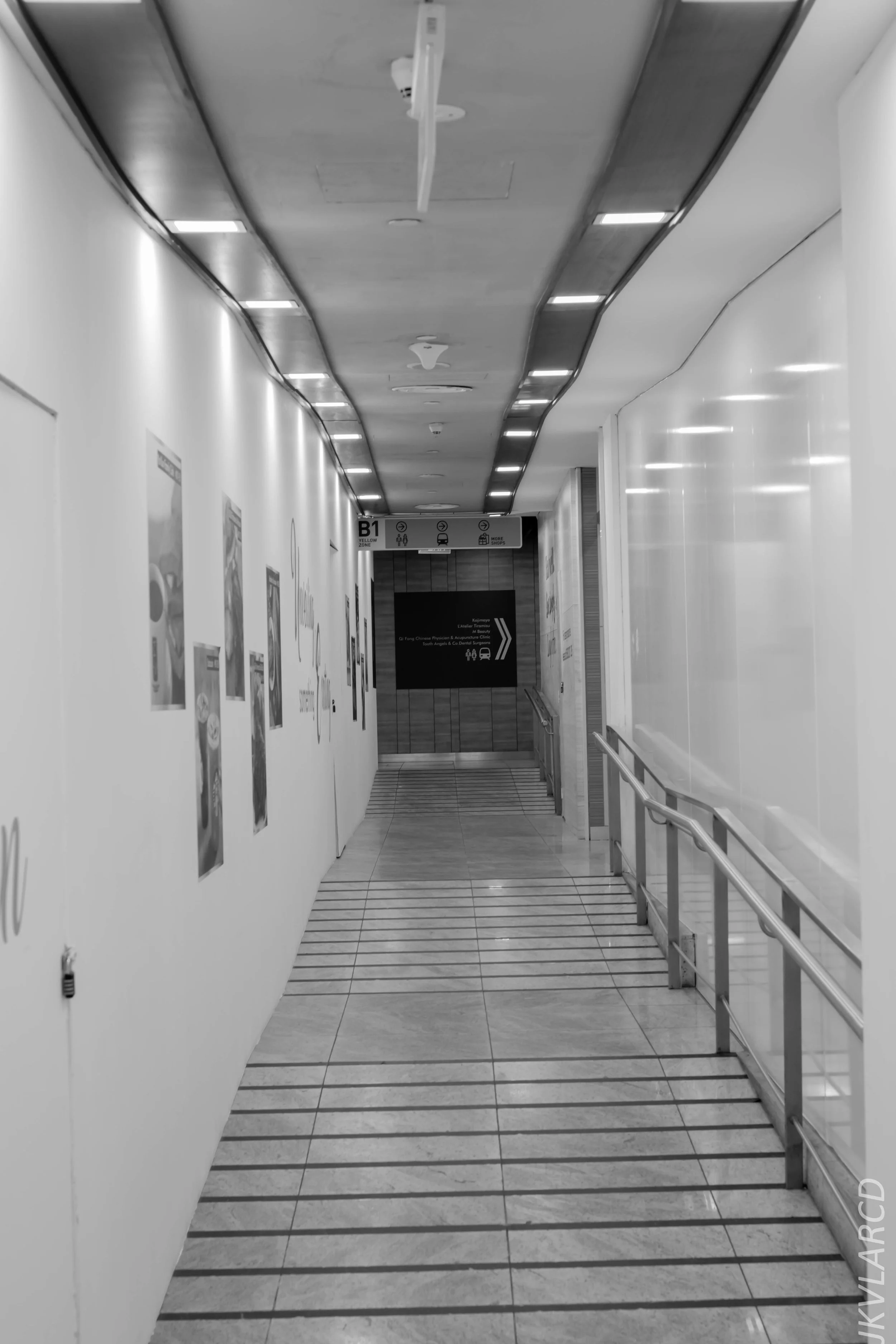 EOS 7D Mark II_2019_02_06_1559.jpg