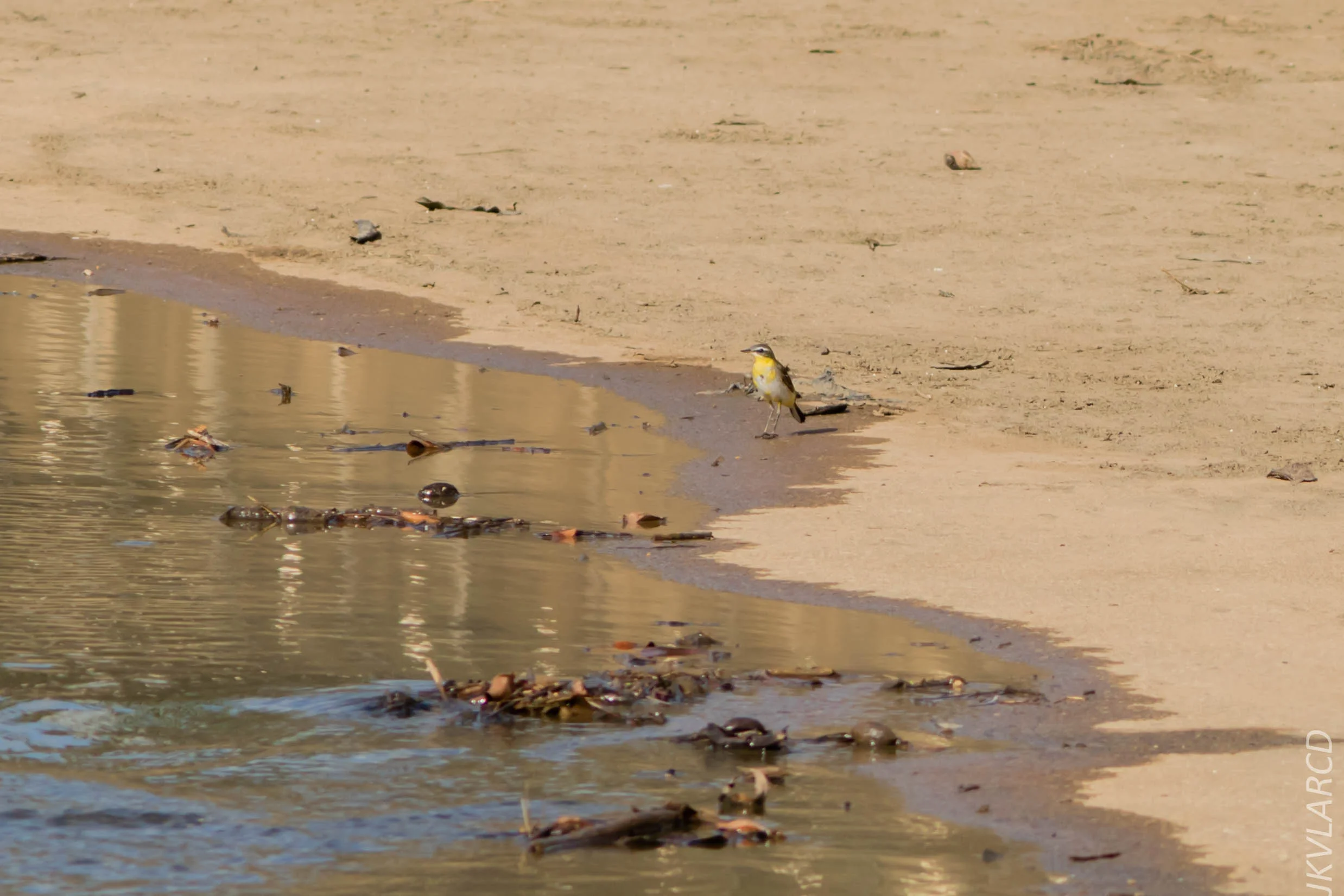 EOS 7D Mark II_2019_02_10_1957.jpg