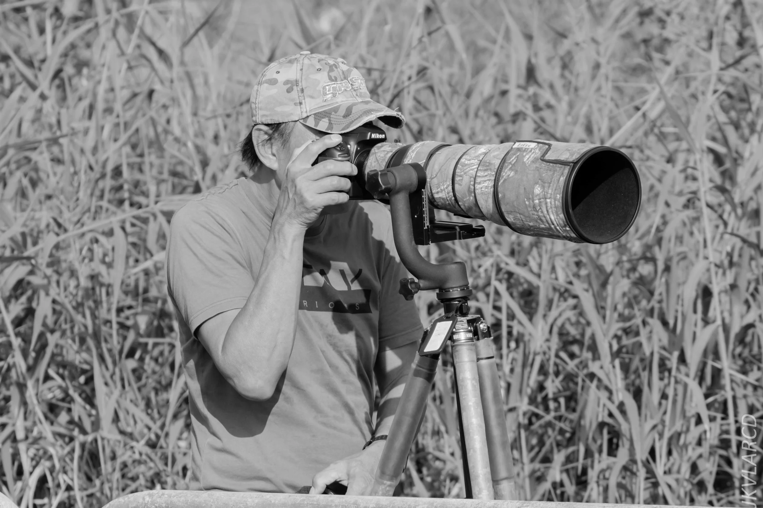 EOS 7D Mark II_2019_02_10_1897.jpg