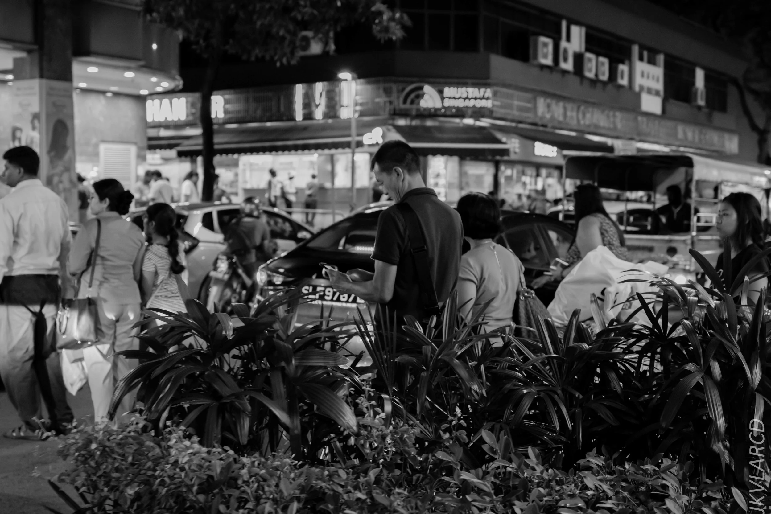 EOS 7D Mark II_2019_03_23_2829.jpg