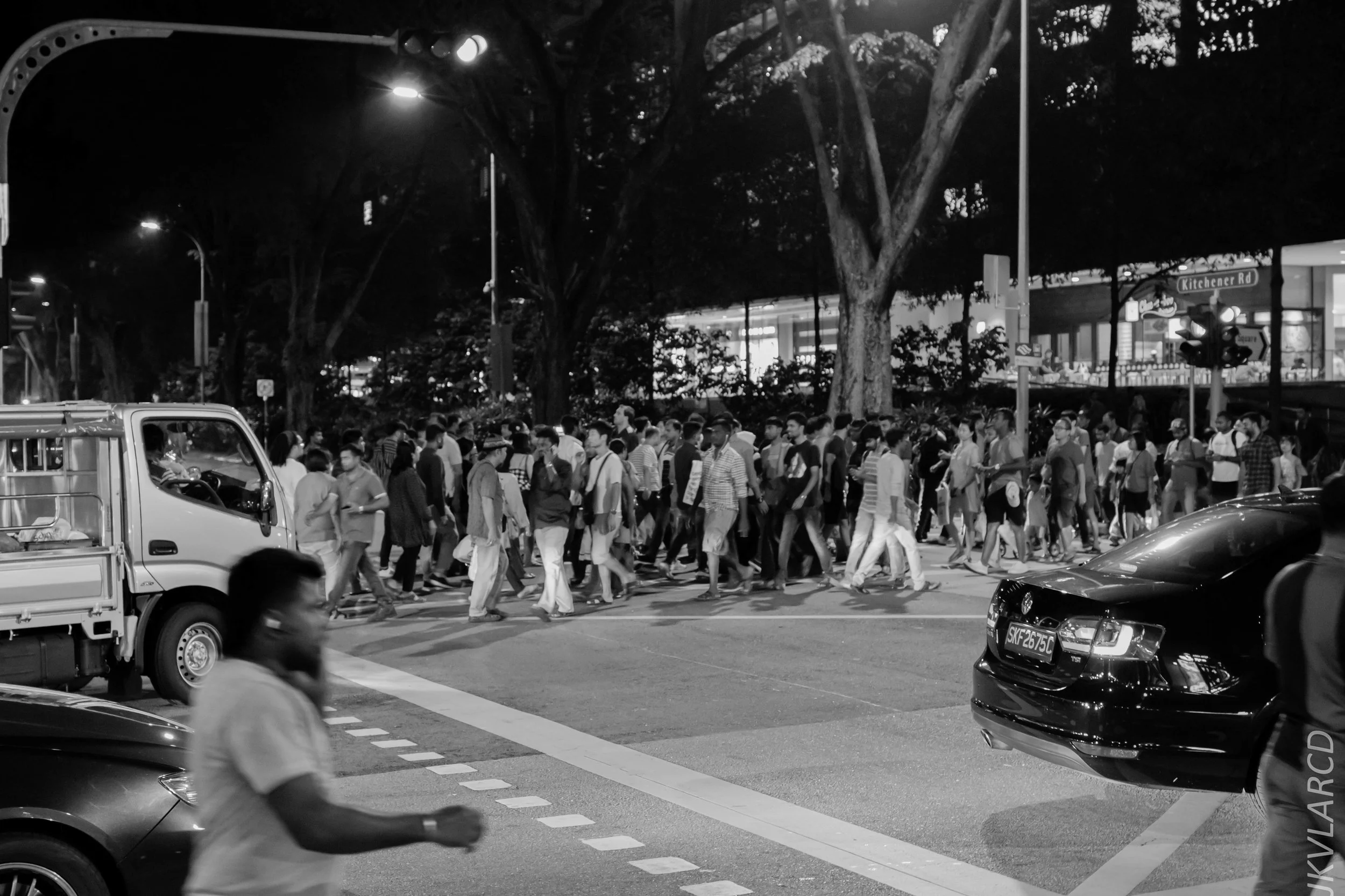 EOS 7D Mark II_2019_03_23_2830.jpg