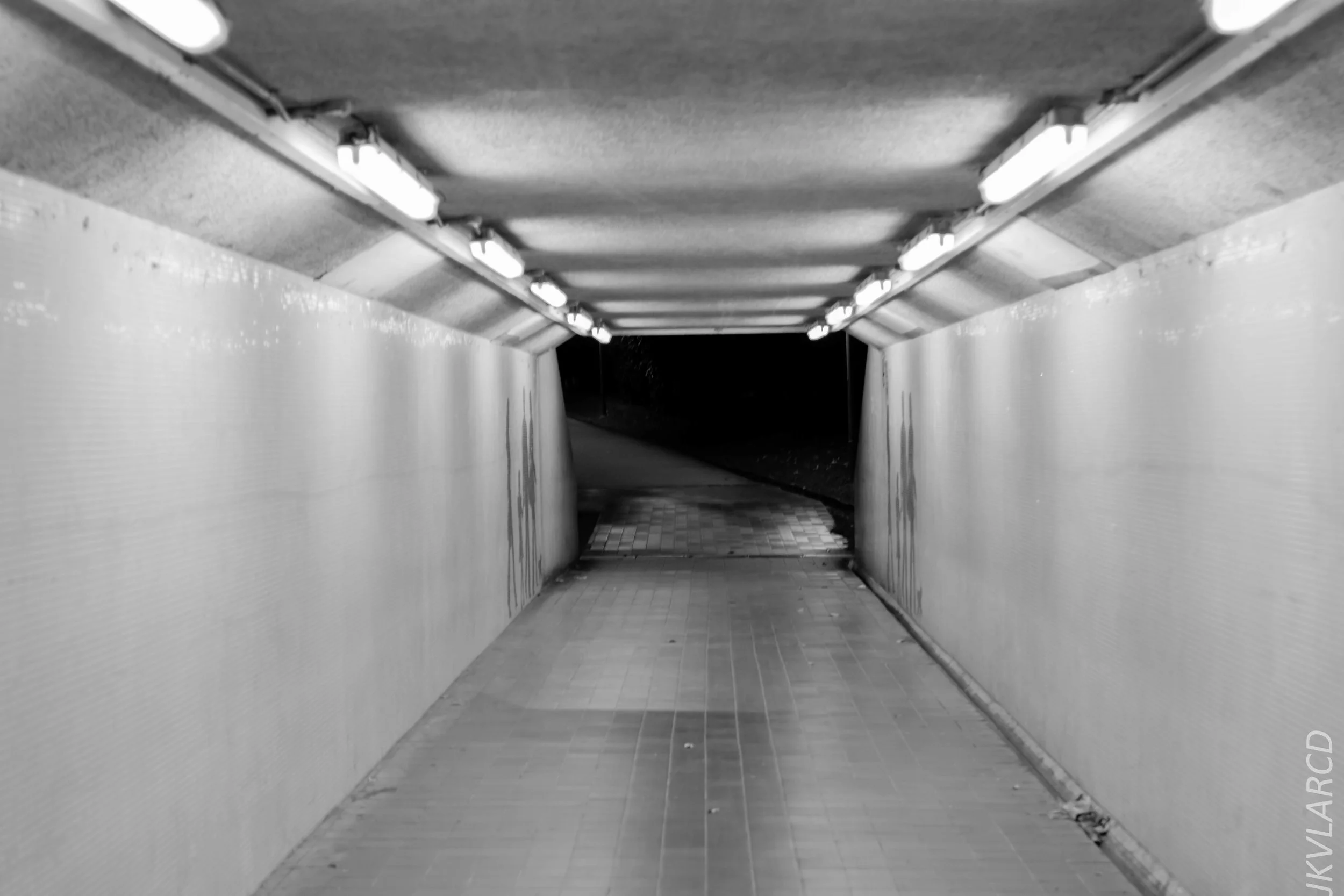 EOS 7D Mark II_2019_03_23_2850.jpg