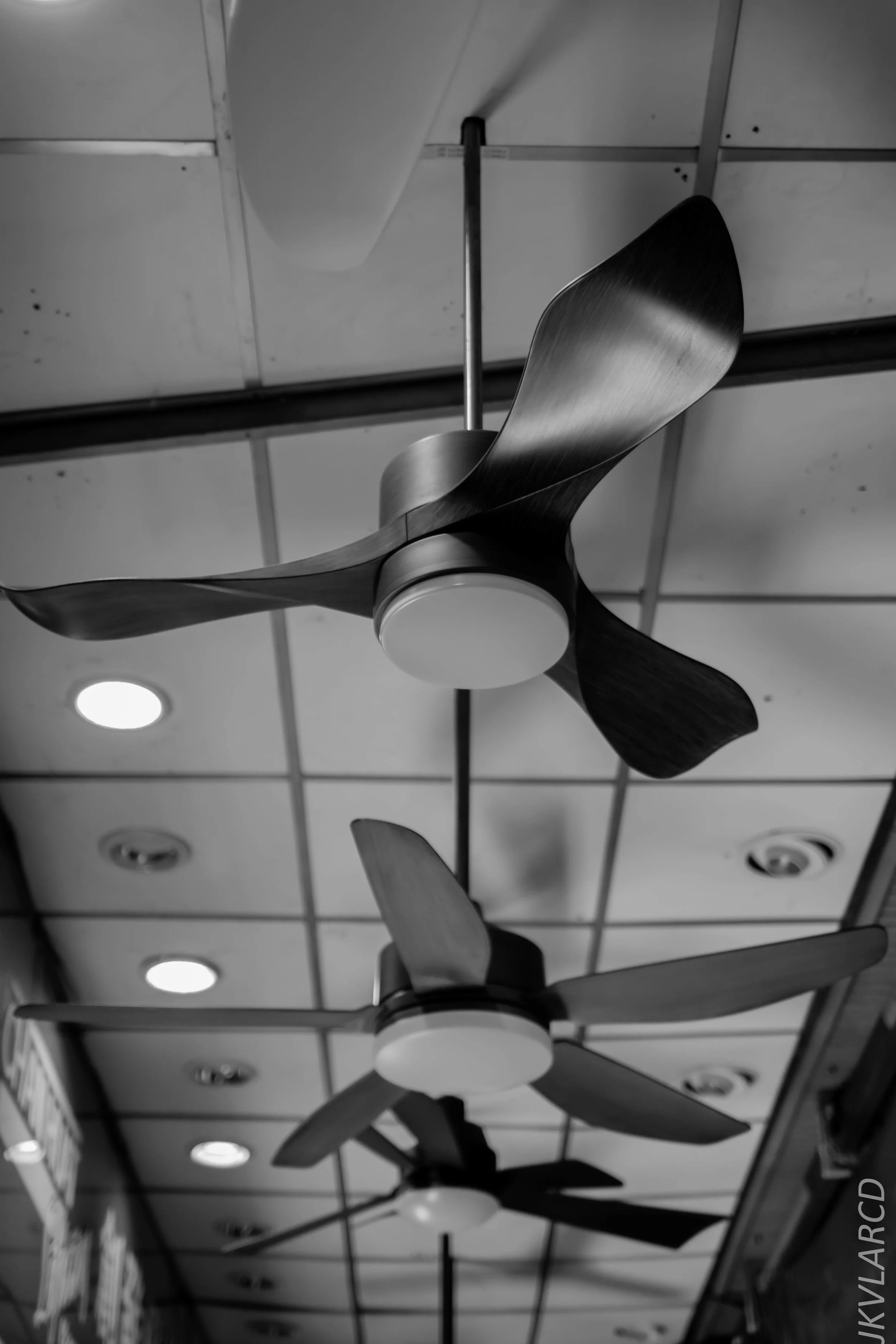 EOS 7D Mark II_2019_03_23_2858.jpg