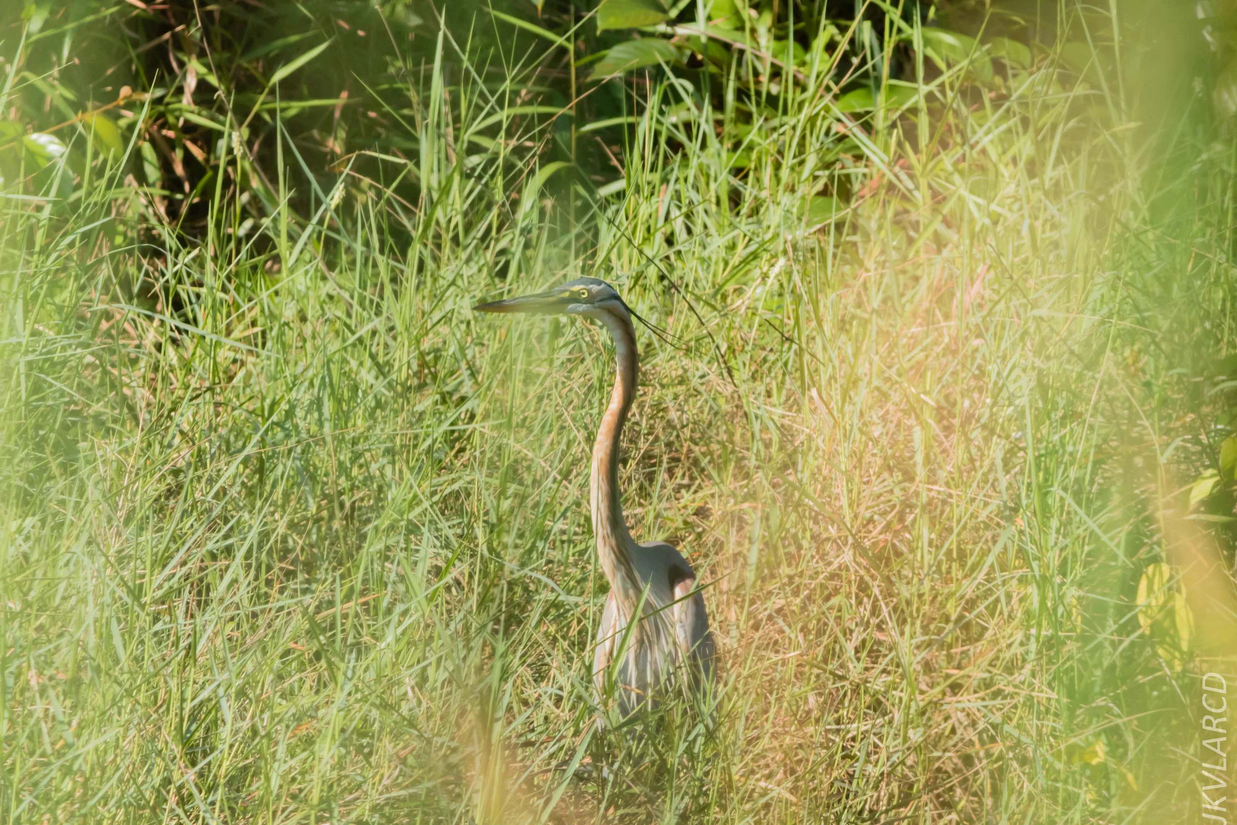 EOS 7D Mark II_2019_04_07_3818.jpg