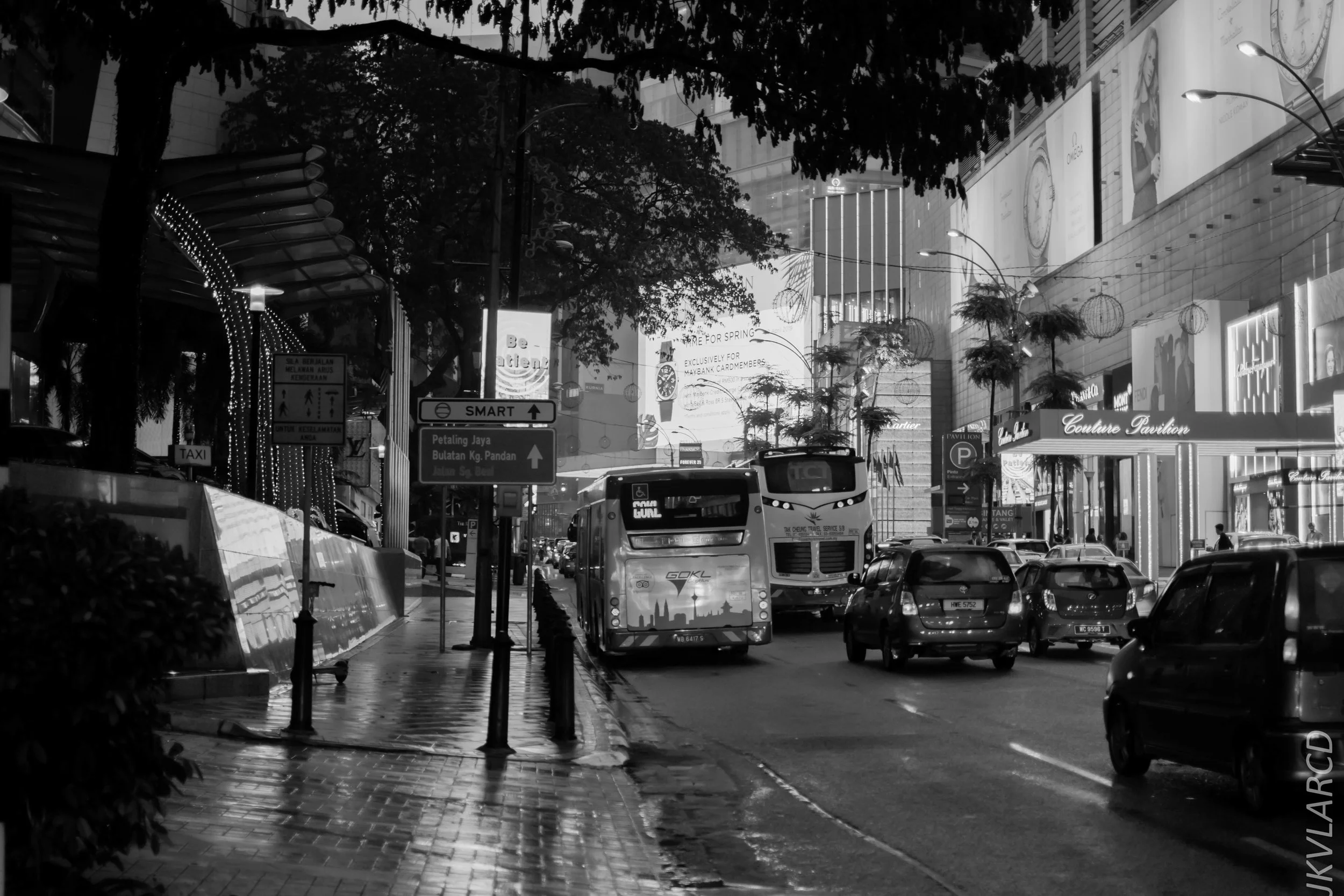 EOS 7D Mark II_2019_04_14_3965.jpg