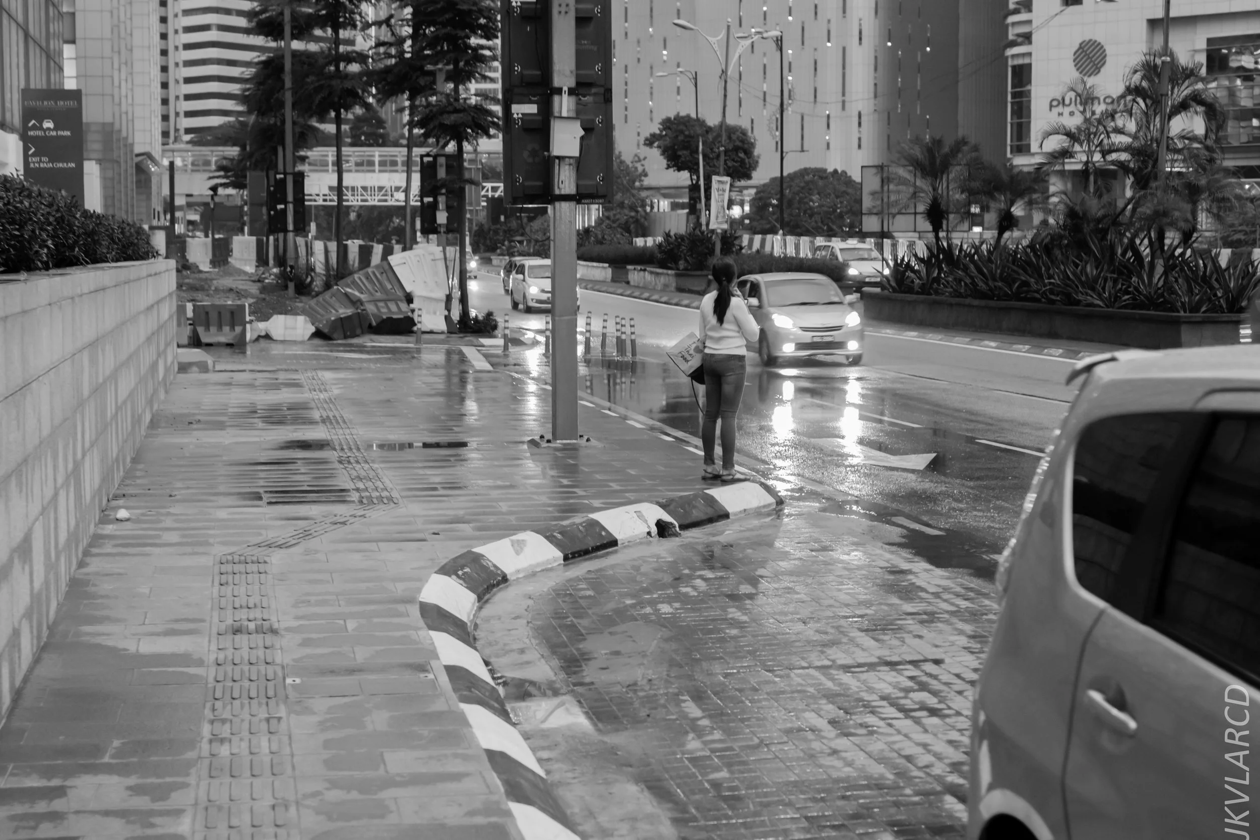 EOS 7D Mark II_2019_04_14_3969.jpg