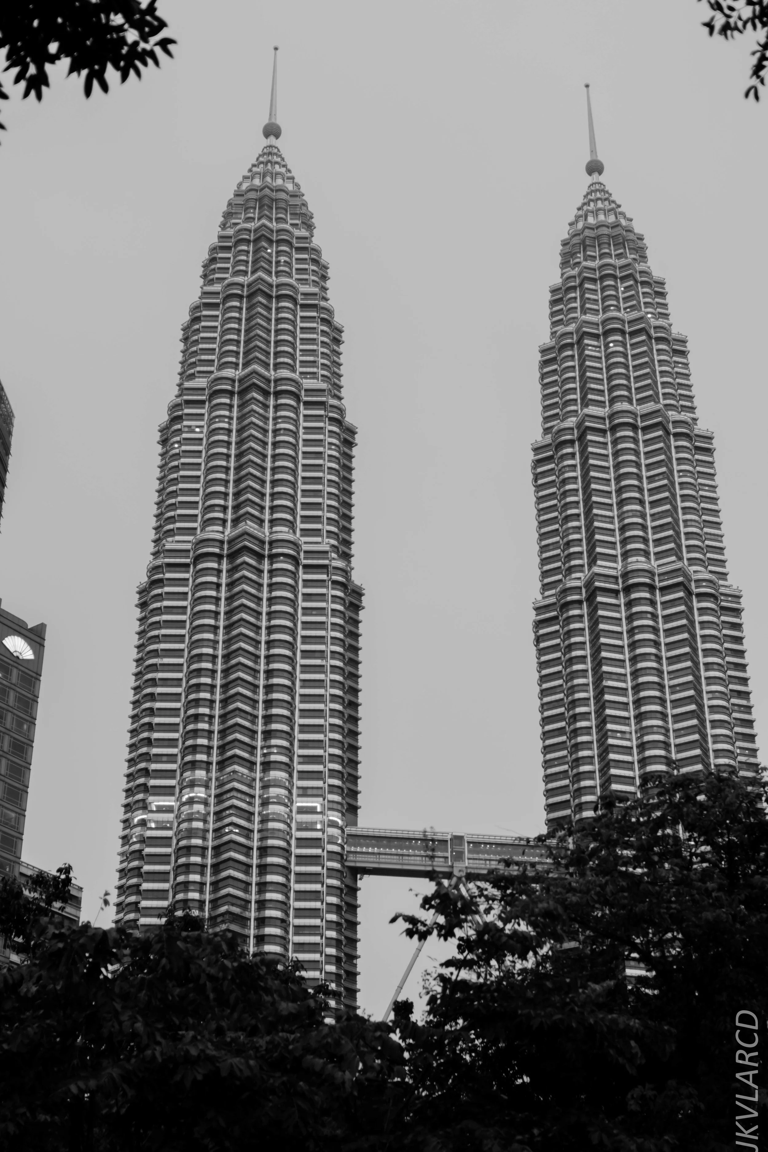 EOS 7D Mark II_2019_04_14_3978.jpg