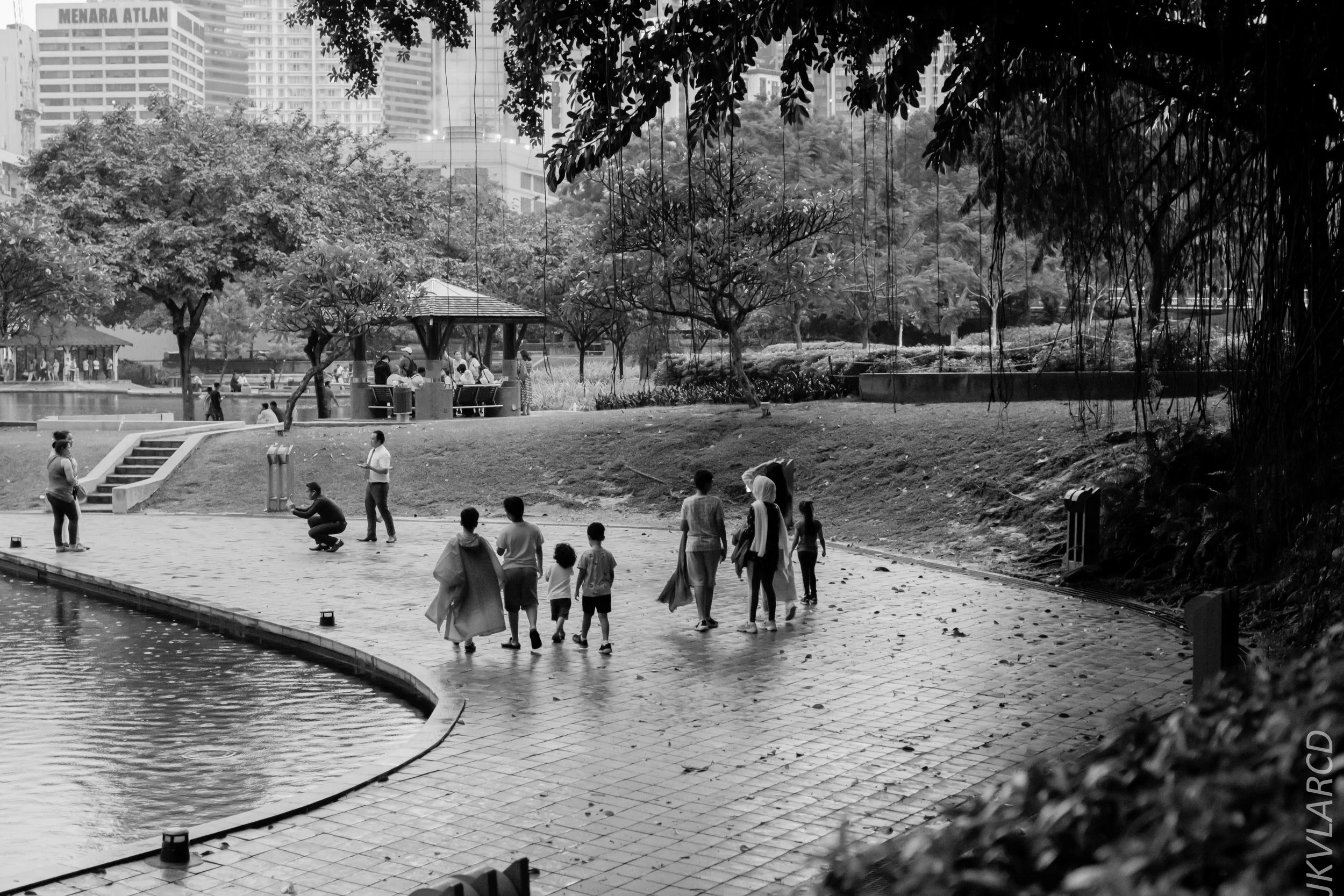 EOS 7D Mark II_2019_04_14_3981.jpg