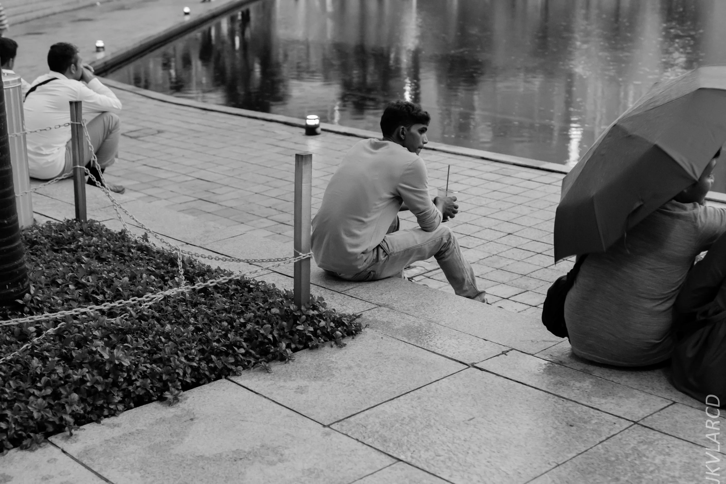 EOS 7D Mark II_2019_04_14_3987.jpg