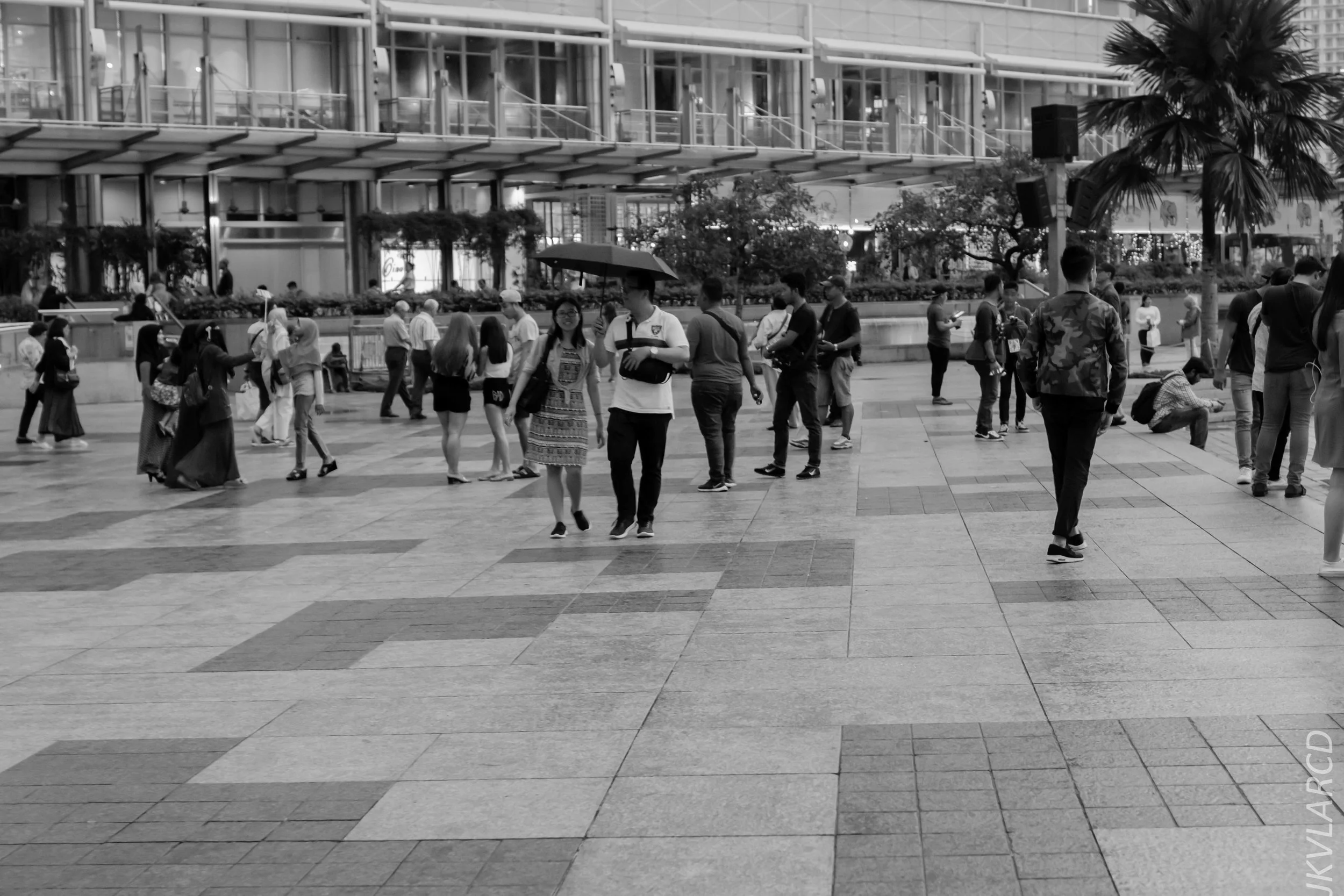 EOS 7D Mark II_2019_04_14_3989.jpg