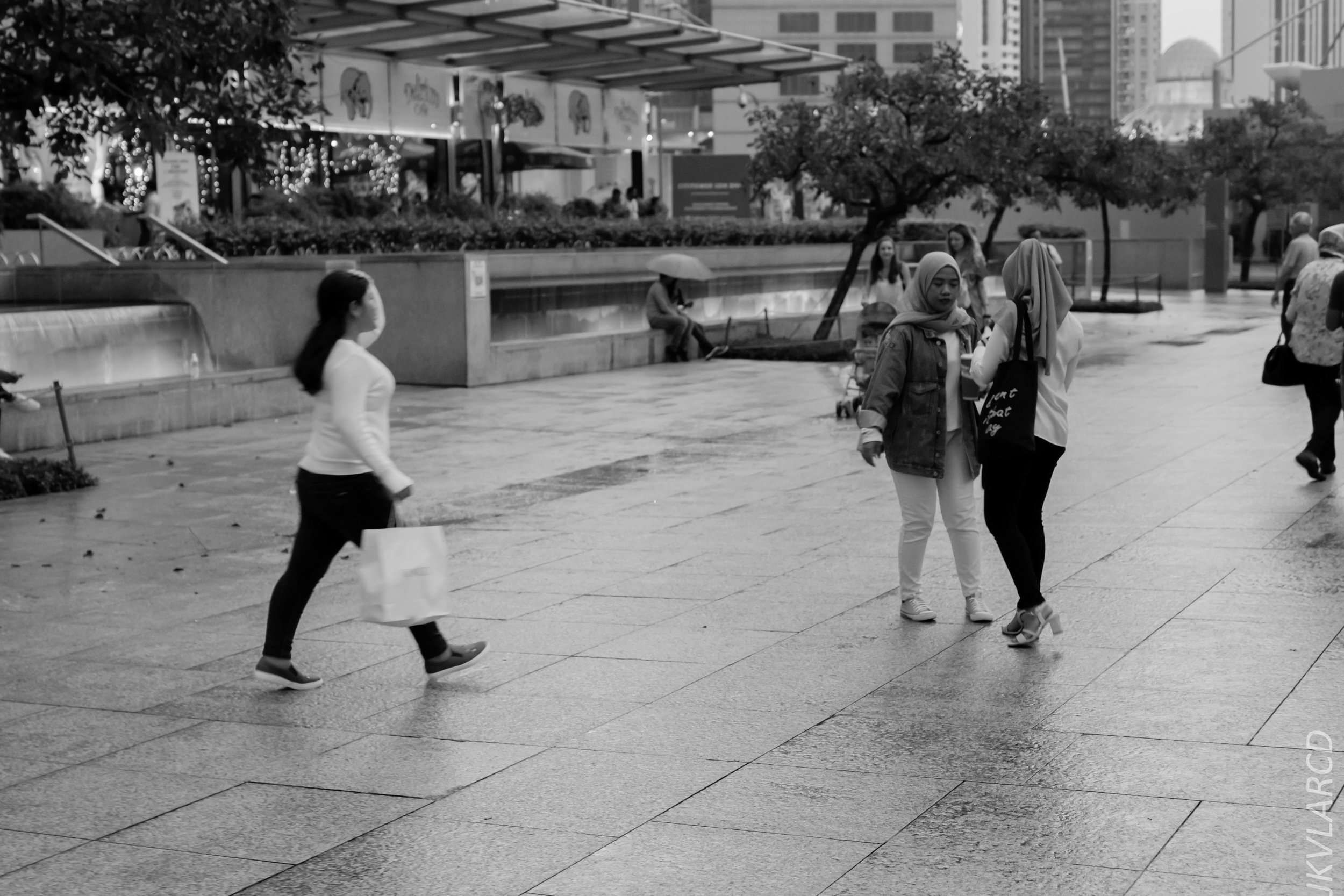 EOS 7D Mark II_2019_04_14_3991.jpg