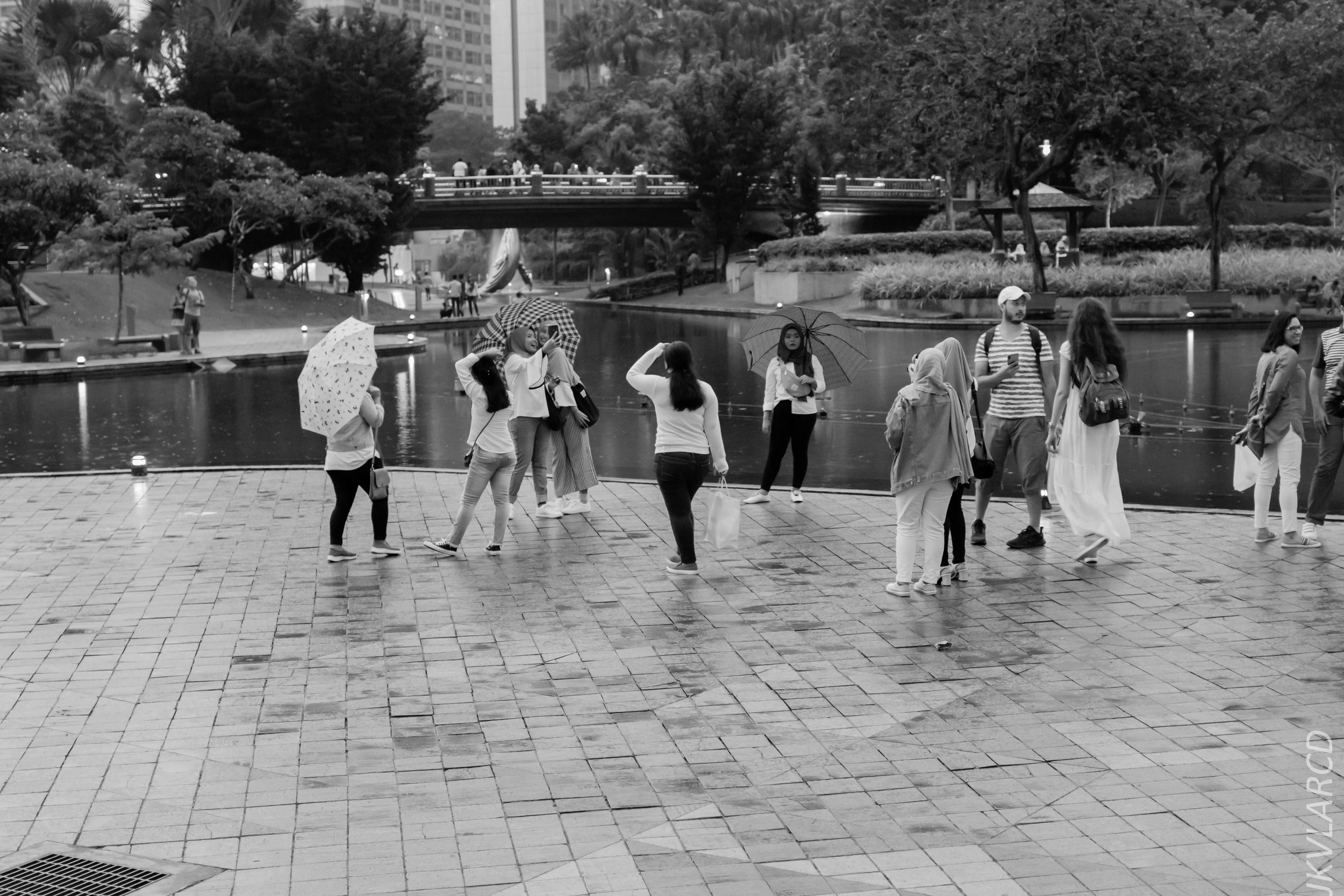 EOS 7D Mark II_2019_04_14_3993.jpg