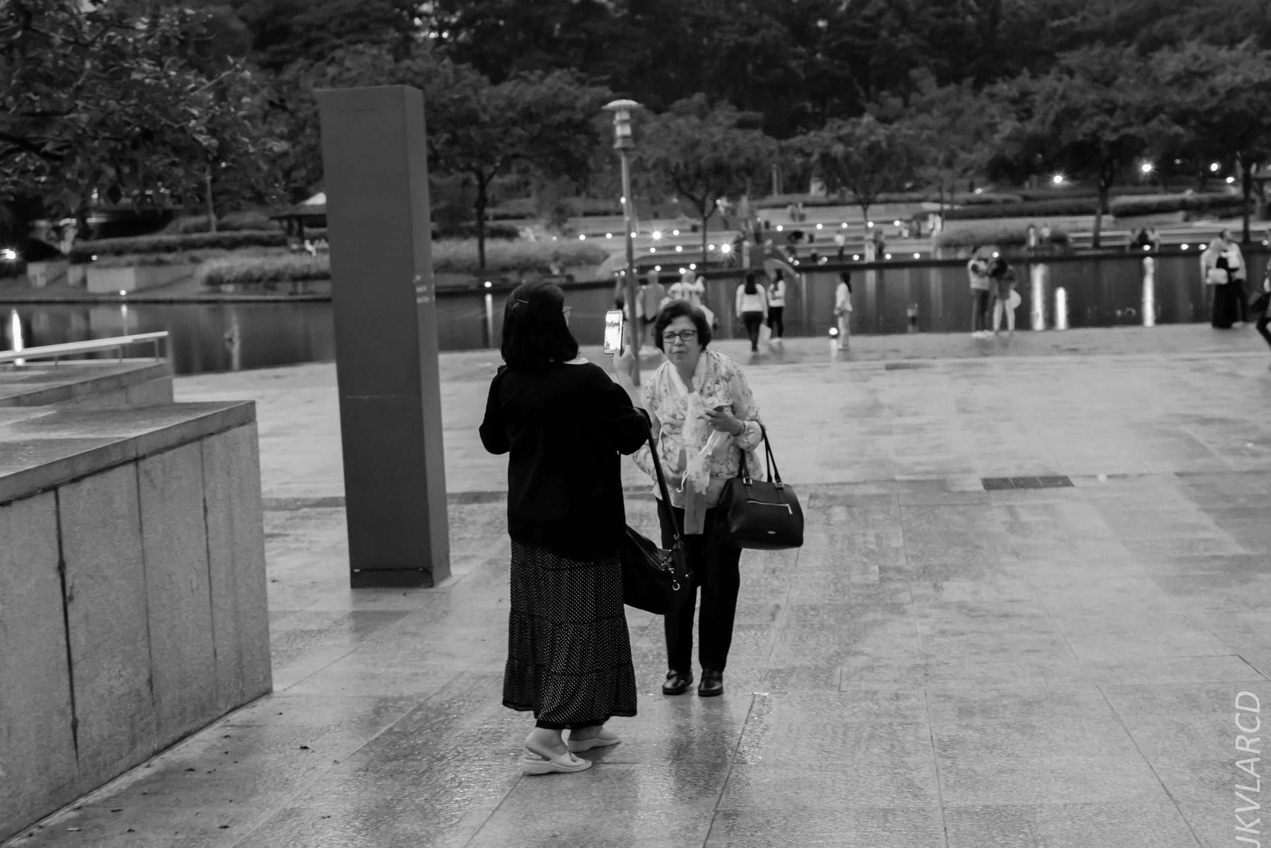 EOS 7D Mark II_2019_04_14_3997.jpg