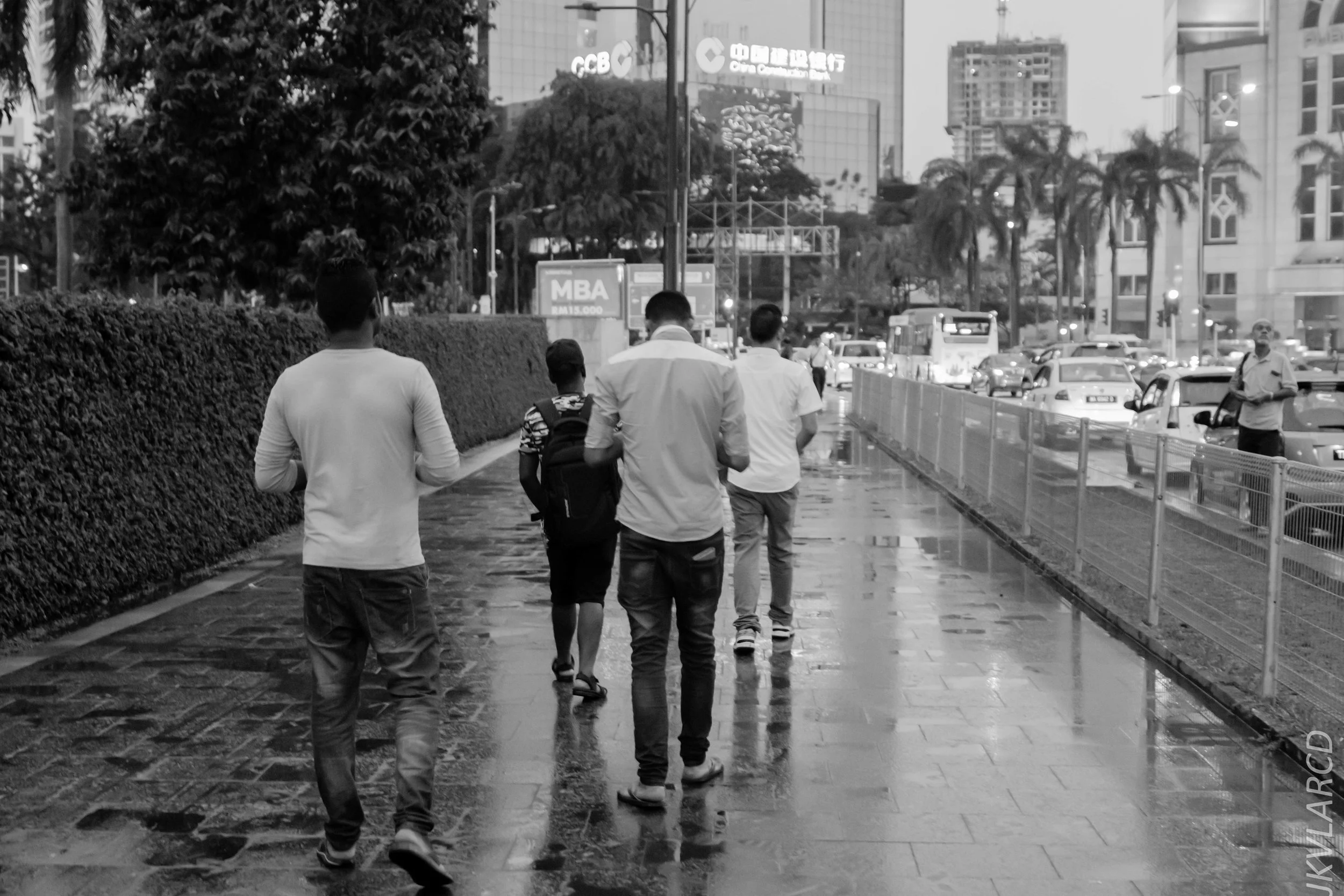 EOS 7D Mark II_2019_04_14_4005.jpg