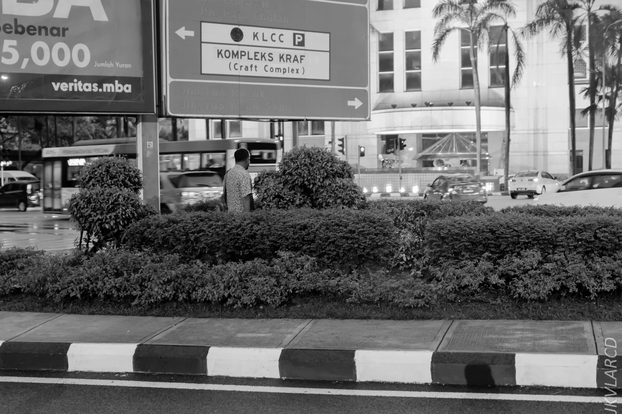 EOS 7D Mark II_2019_04_14_4008.jpg