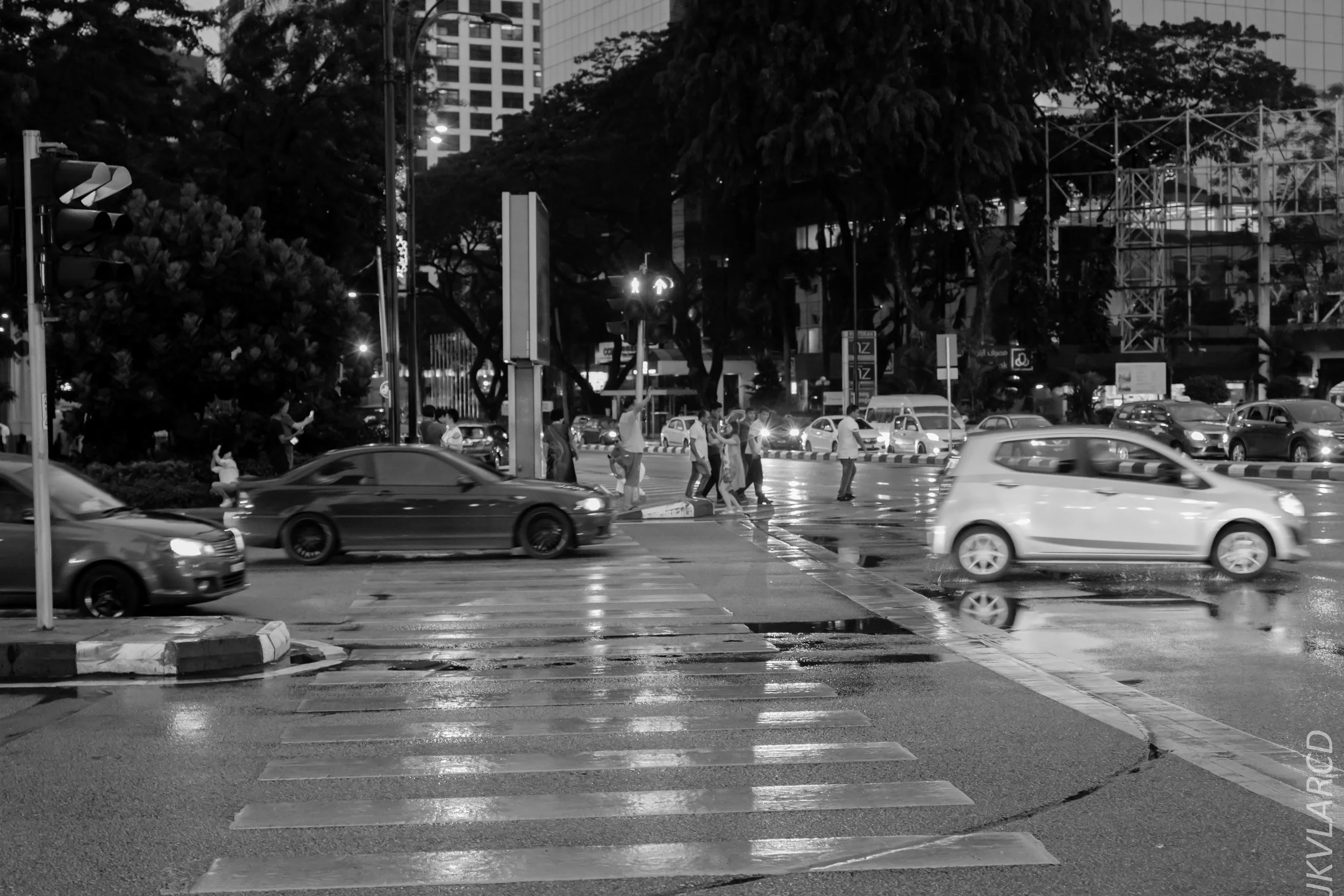 EOS 7D Mark II_2019_04_14_4011.jpg