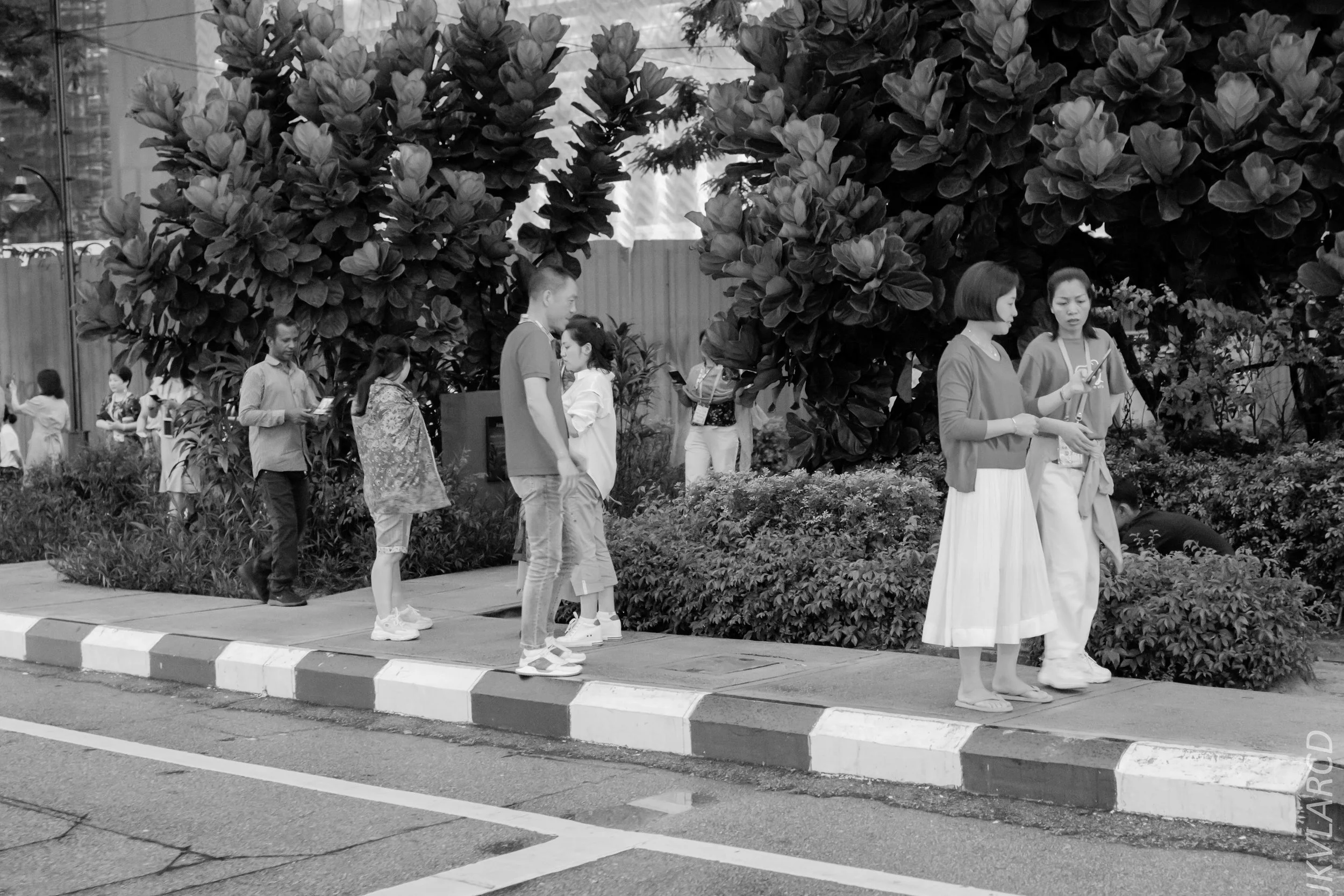 EOS 7D Mark II_2019_04_14_4014.jpg