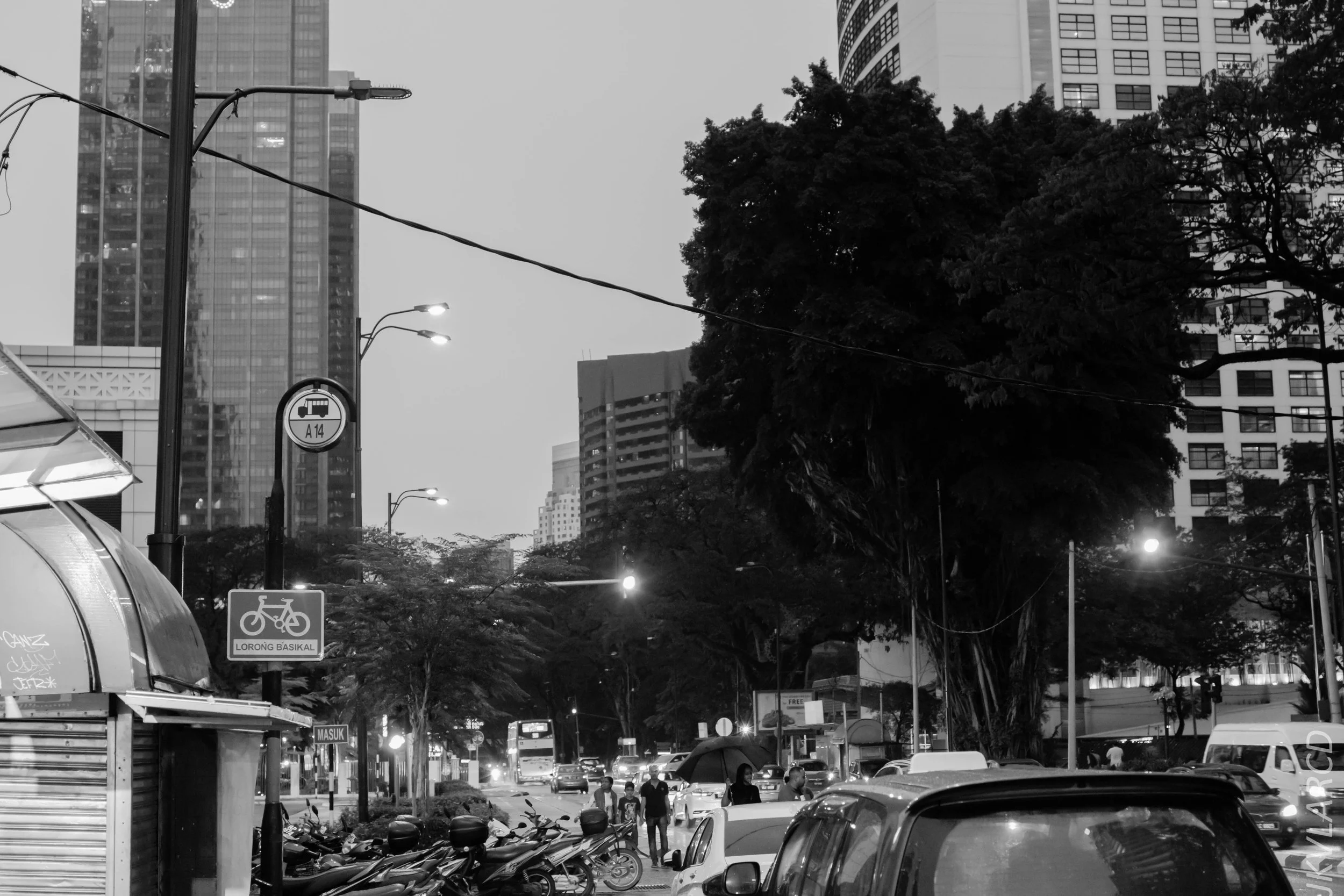 EOS 7D Mark II_2019_04_14_4017.jpg