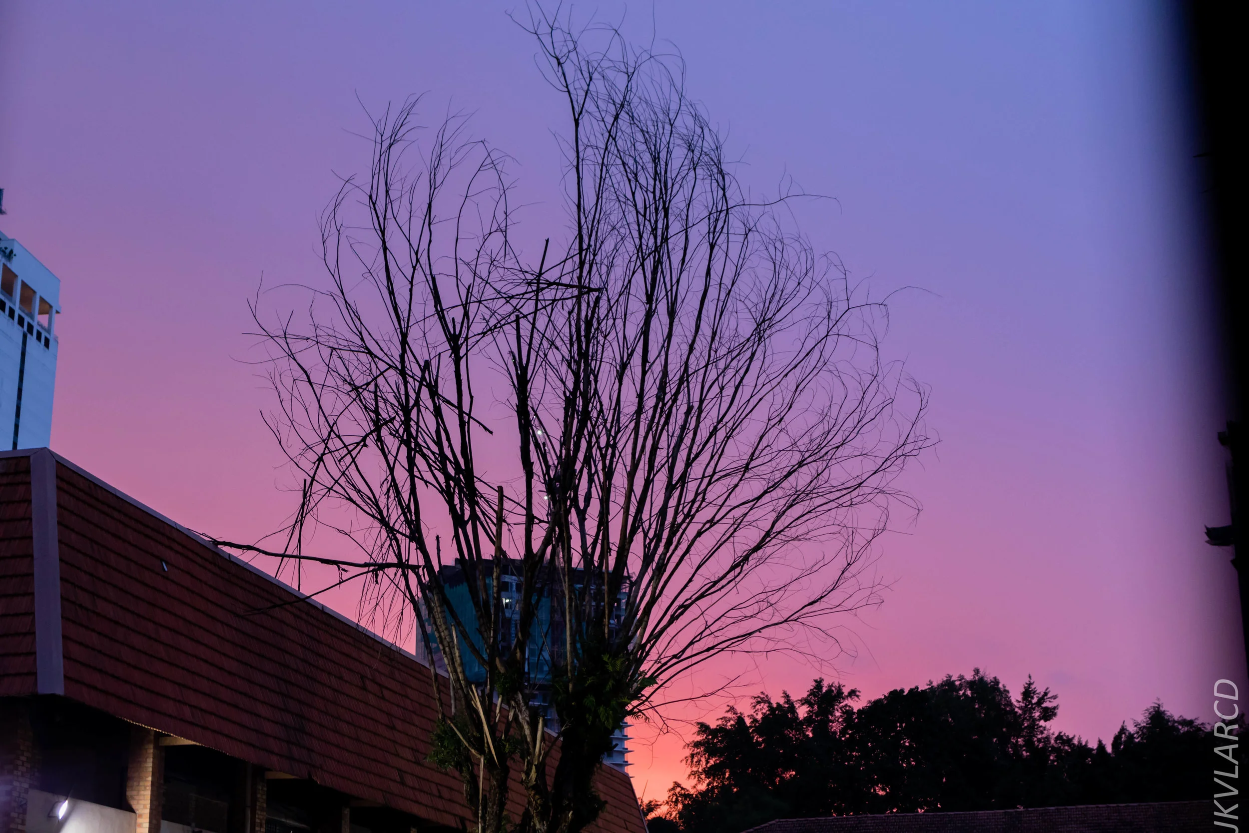 EOS 7D Mark II_2019_04_14_4024.jpg