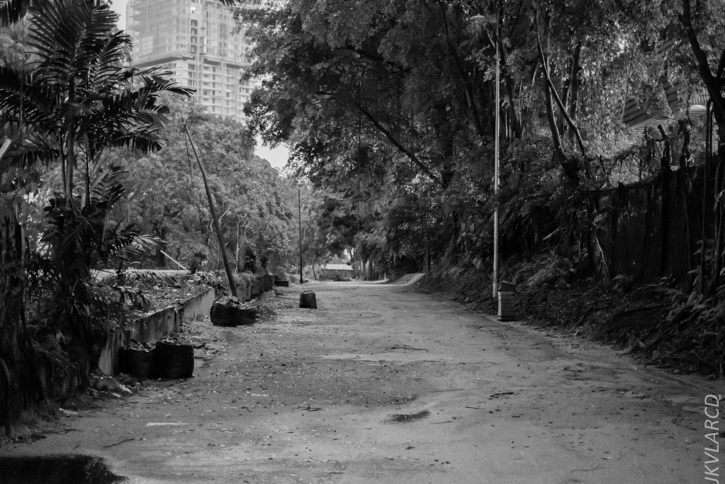 EOS 7D Mark II_2019_04_14_4026.jpg