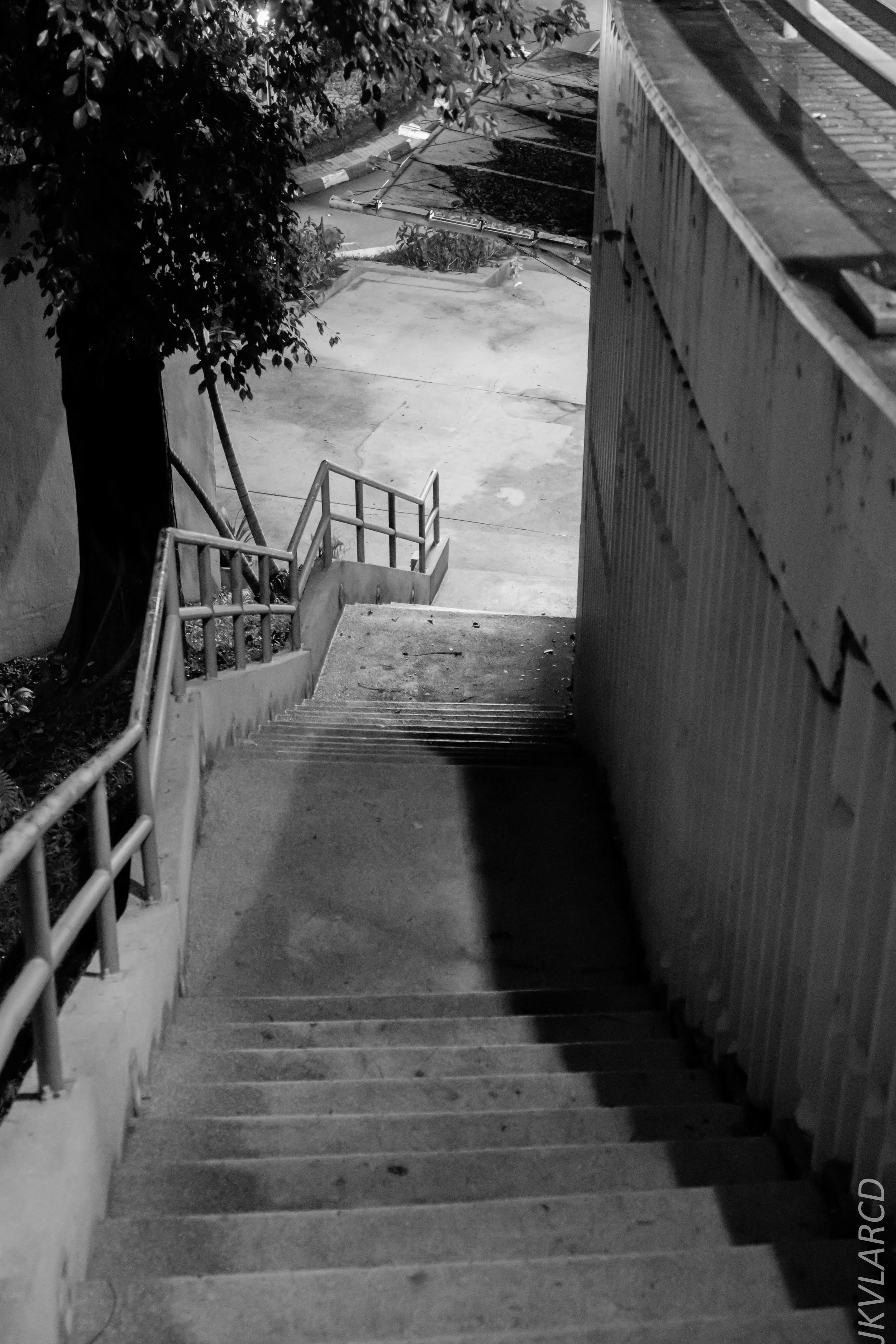 EOS 7D Mark II_2019_04_14_4067.jpg