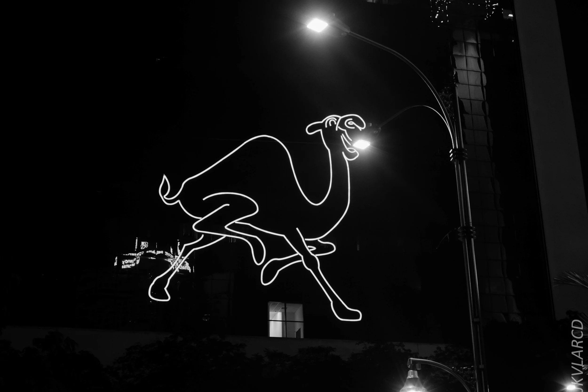 EOS 7D Mark II_2019_04_14_4069.jpg