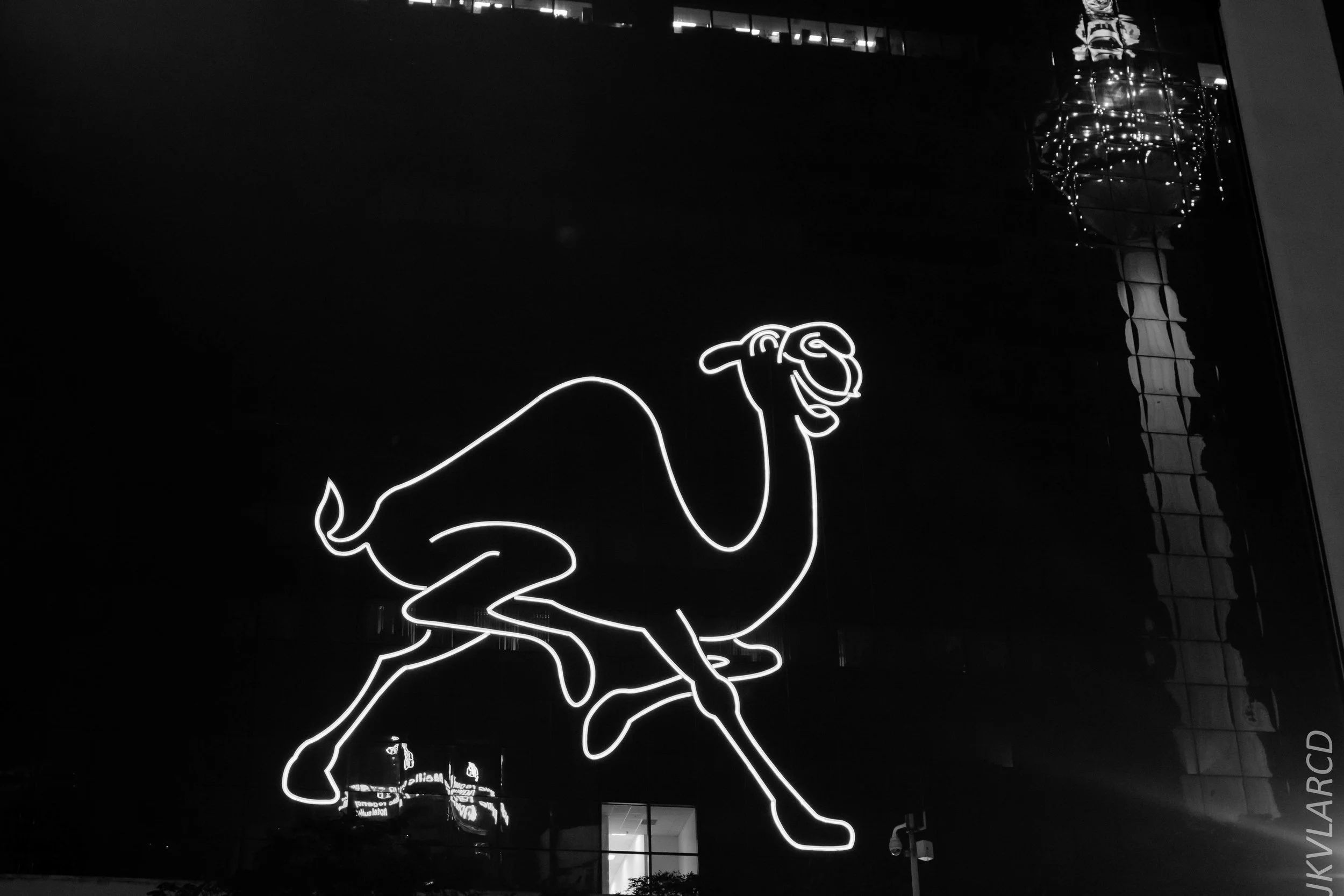 EOS 7D Mark II_2019_04_14_4070.jpg