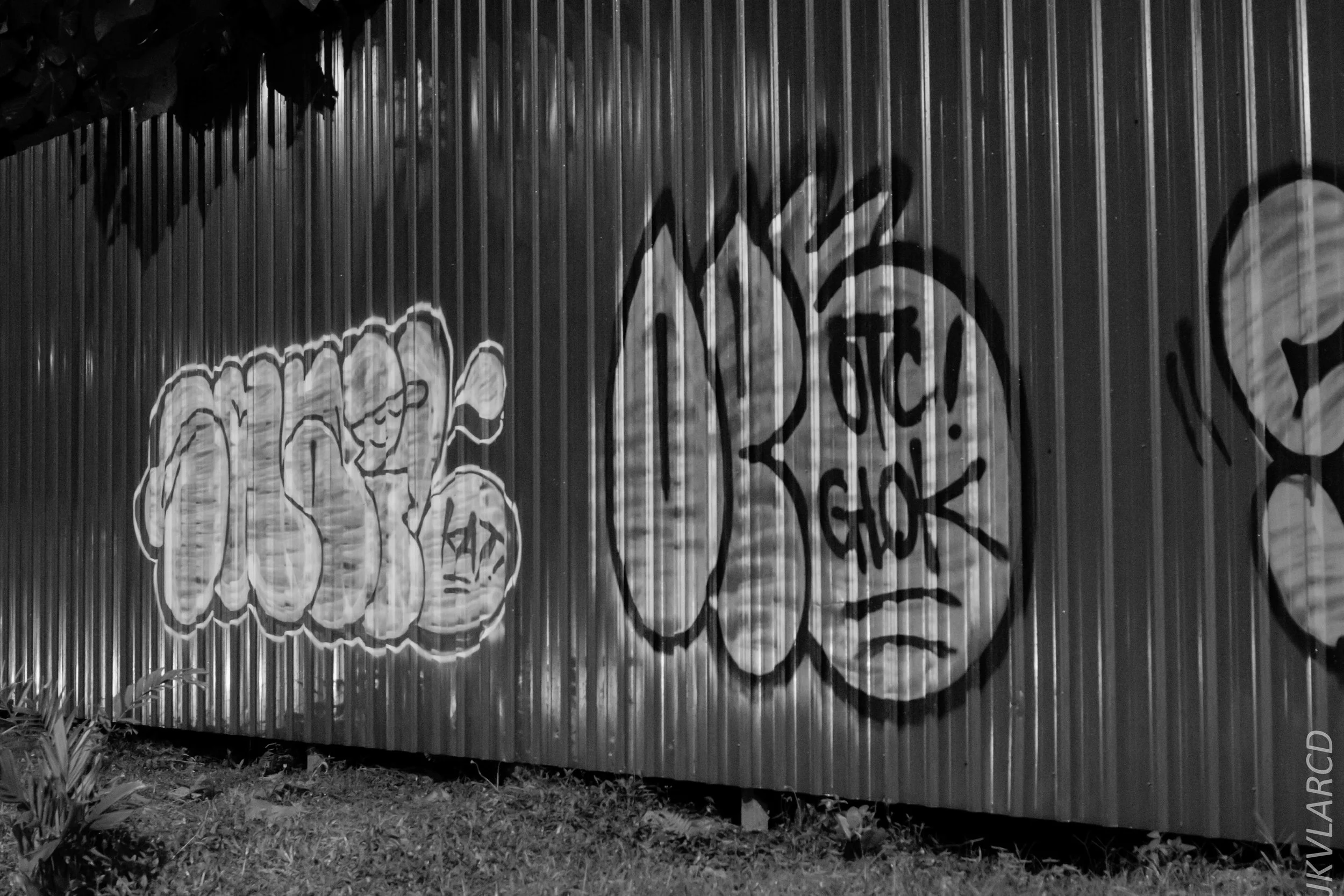 EOS 7D Mark II_2019_04_14_4073.jpg