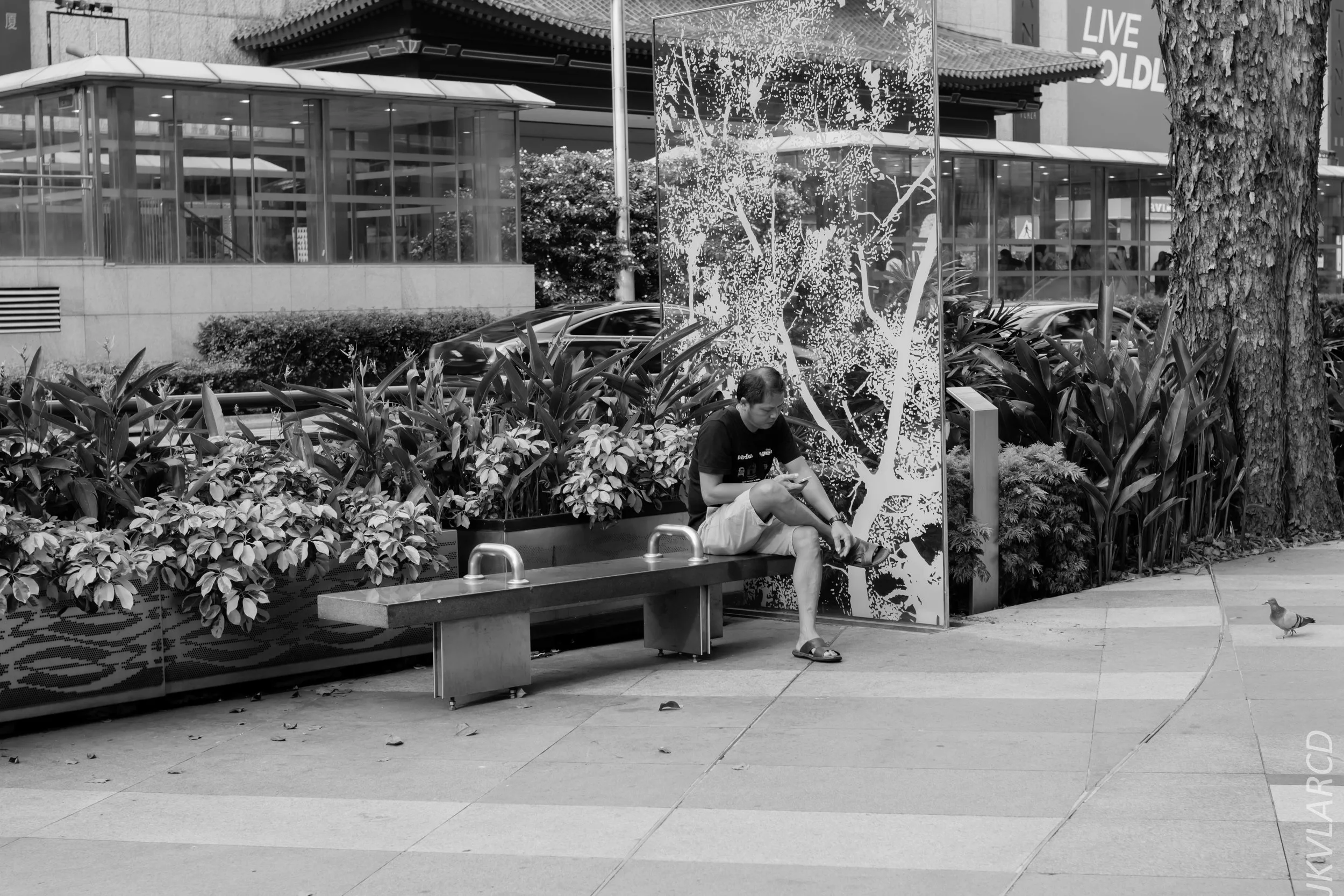 EOS 7D Mark II_2019_05_01_4176.jpg