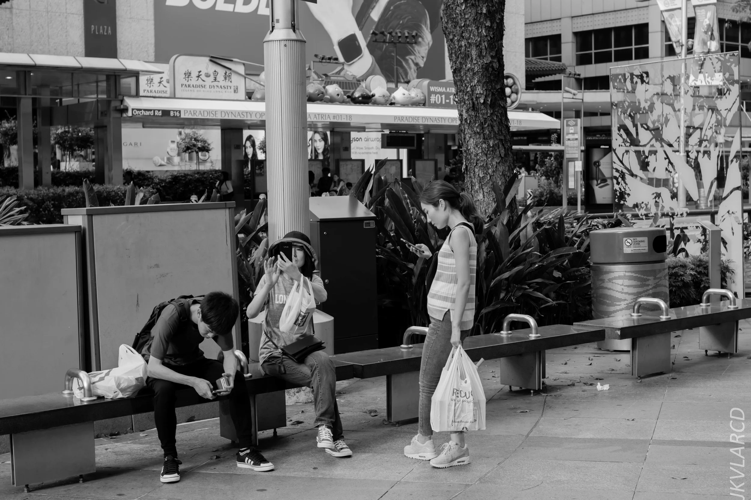 EOS 7D Mark II_2019_05_01_4178.jpg