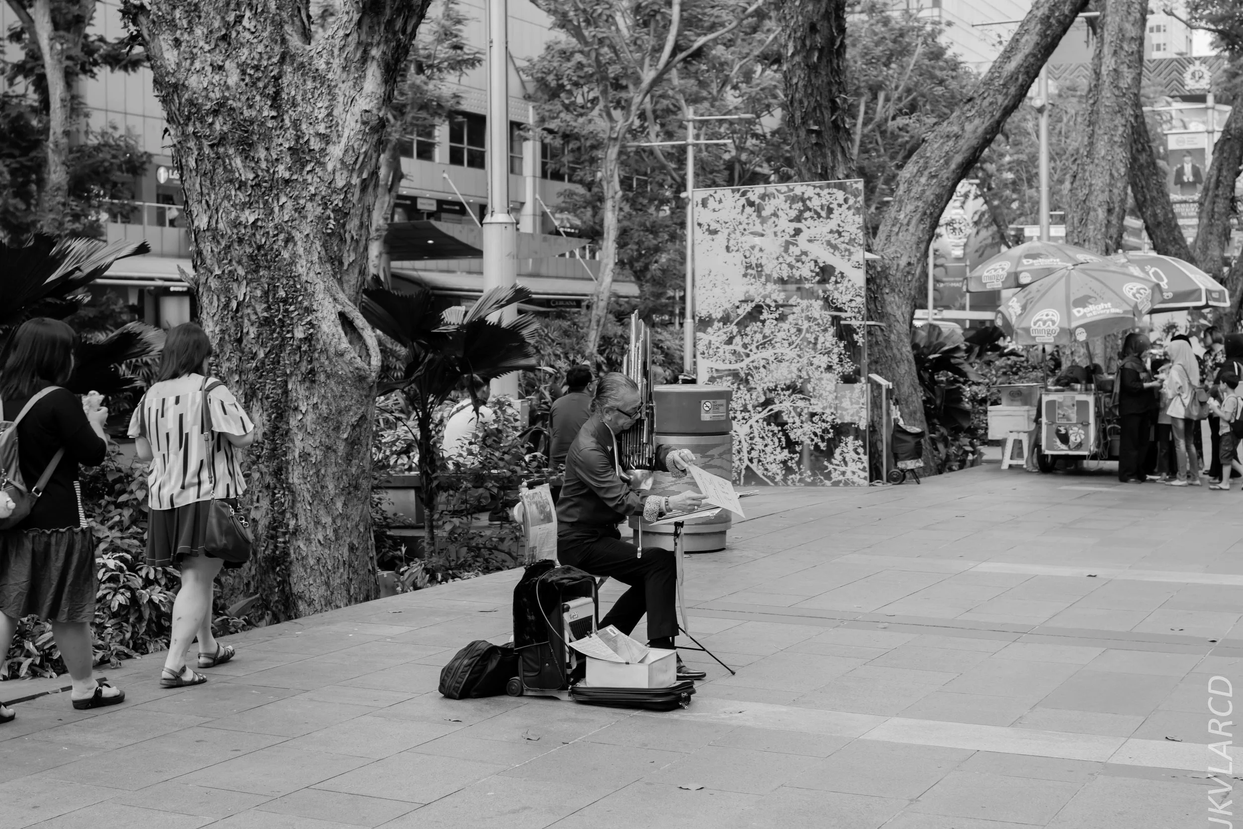 EOS 7D Mark II_2019_05_01_4182.jpg