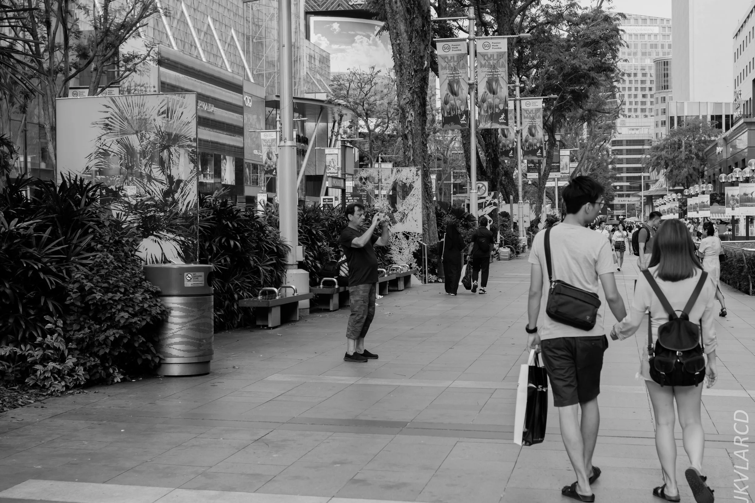 EOS 7D Mark II_2019_05_01_4184.jpg