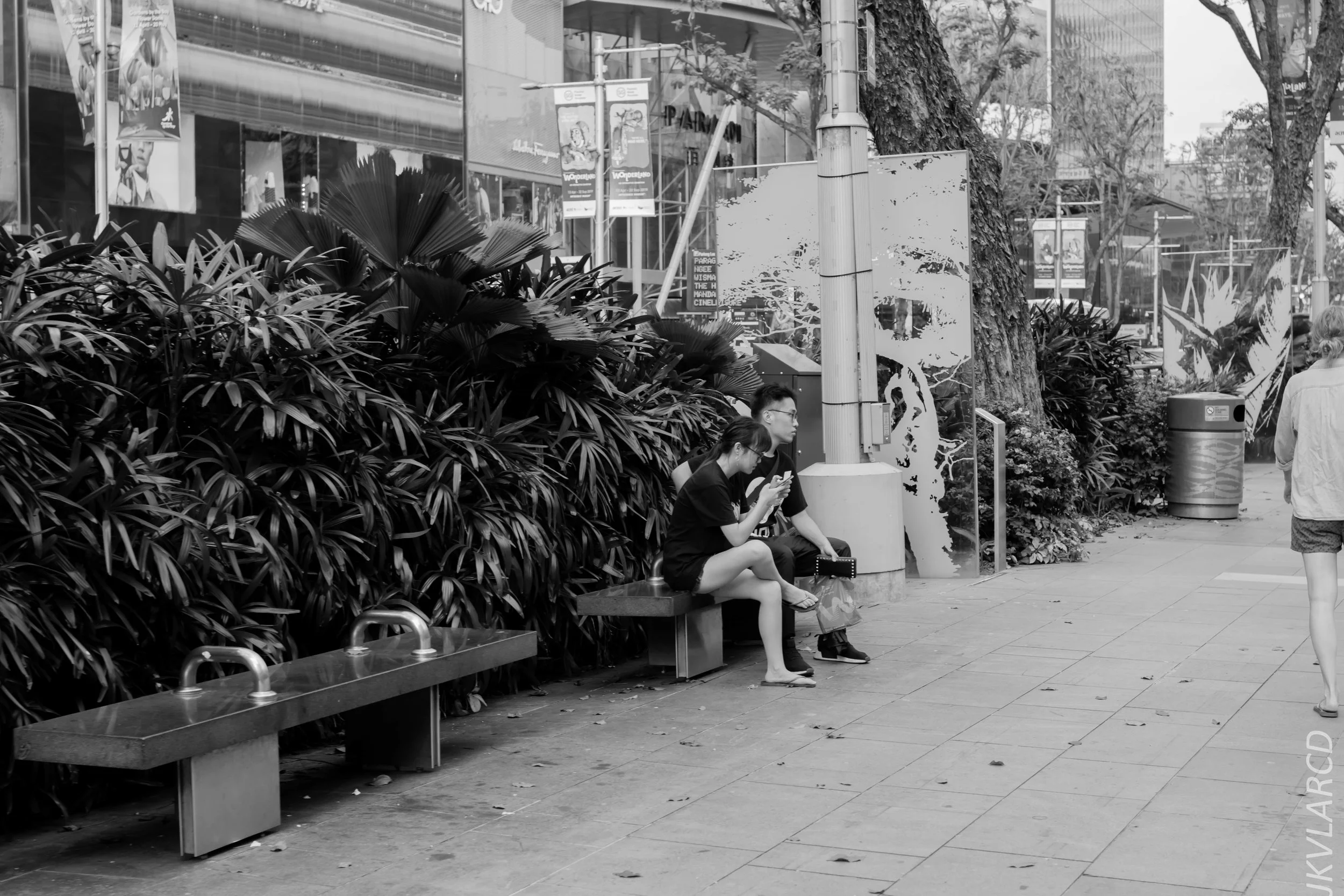 EOS 7D Mark II_2019_05_01_4190.jpg