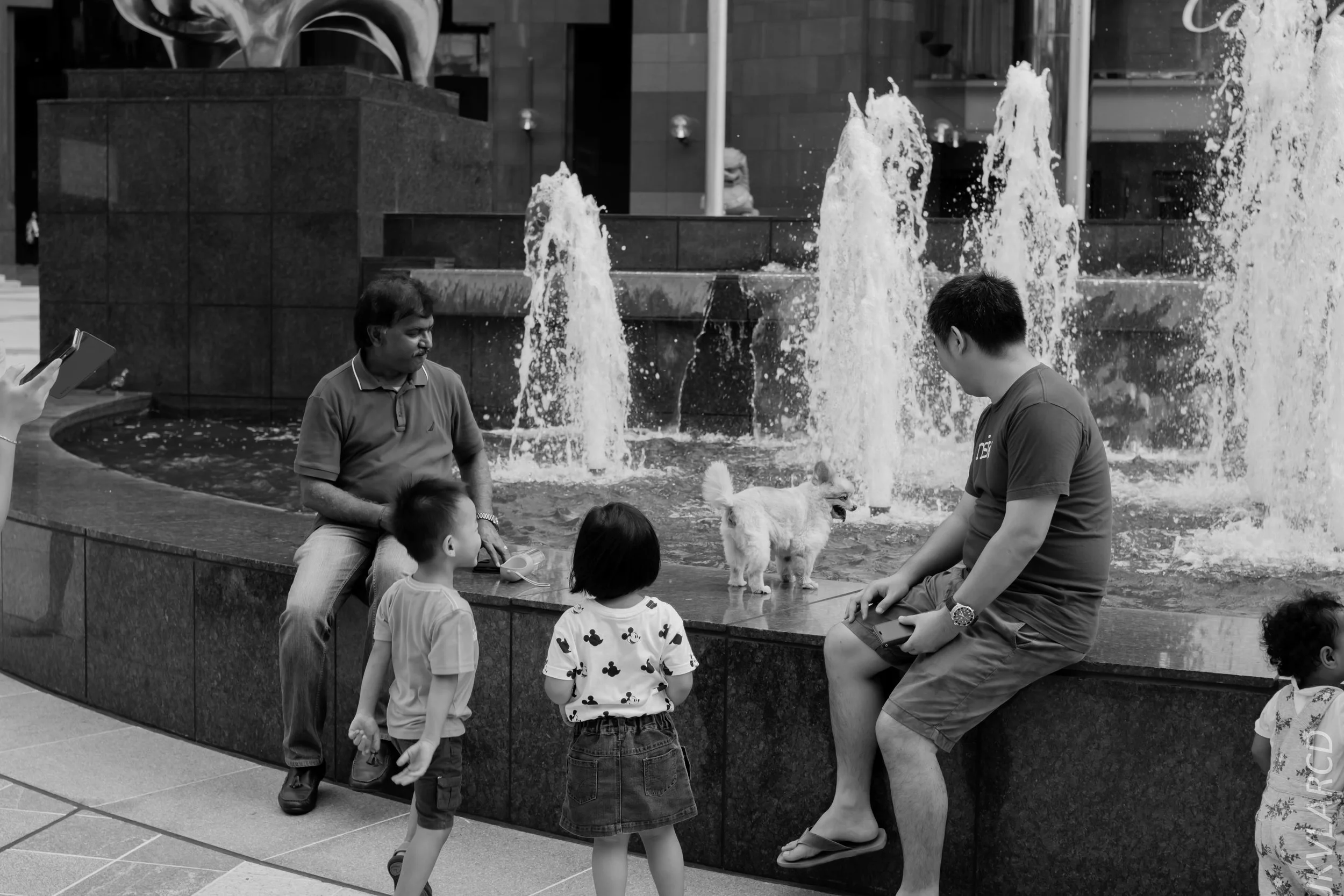 EOS 7D Mark II_2019_05_01_4194.jpg