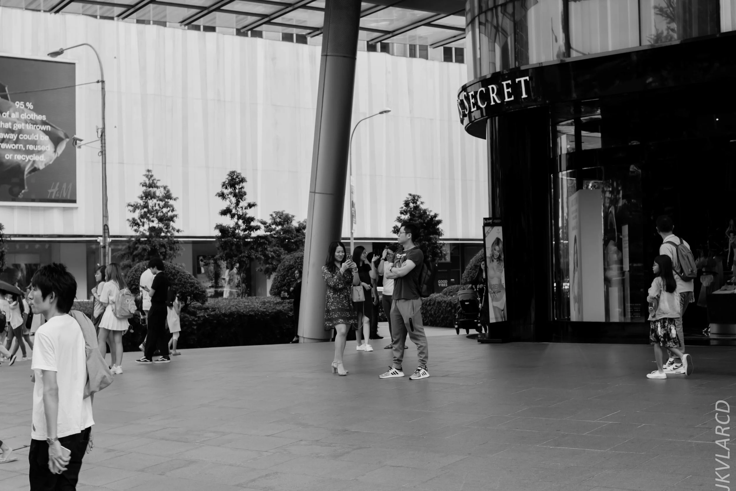 EOS 7D Mark II_2019_05_01_4203.jpg