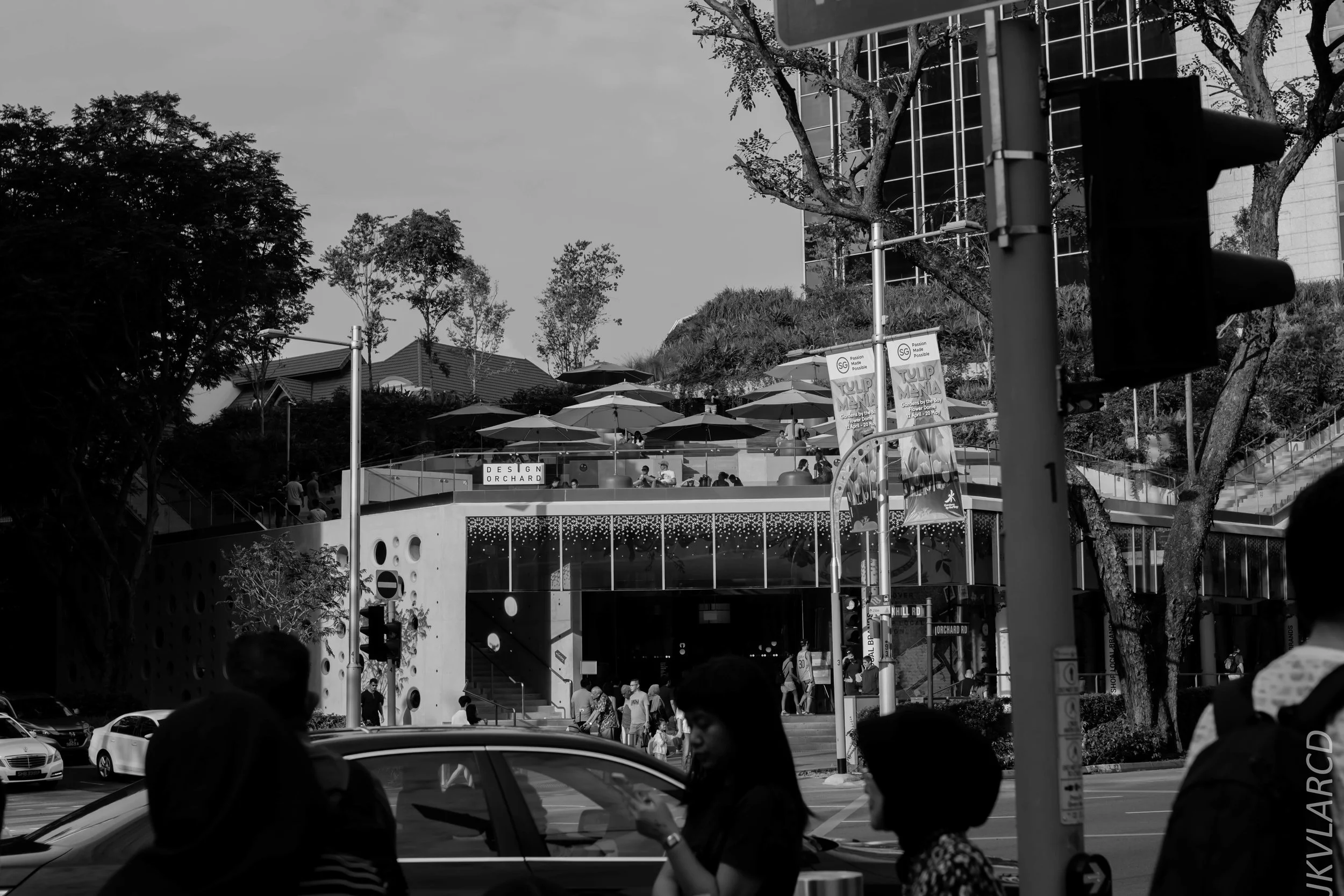 EOS 7D Mark II_2019_05_01_4204.jpg