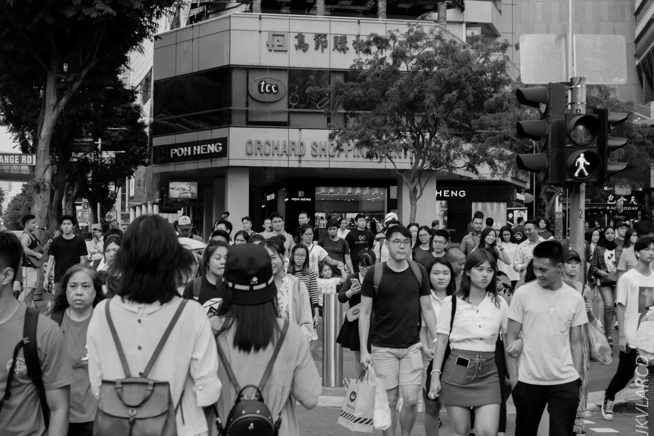 EOS 7D Mark II_2019_05_01_4205.jpg