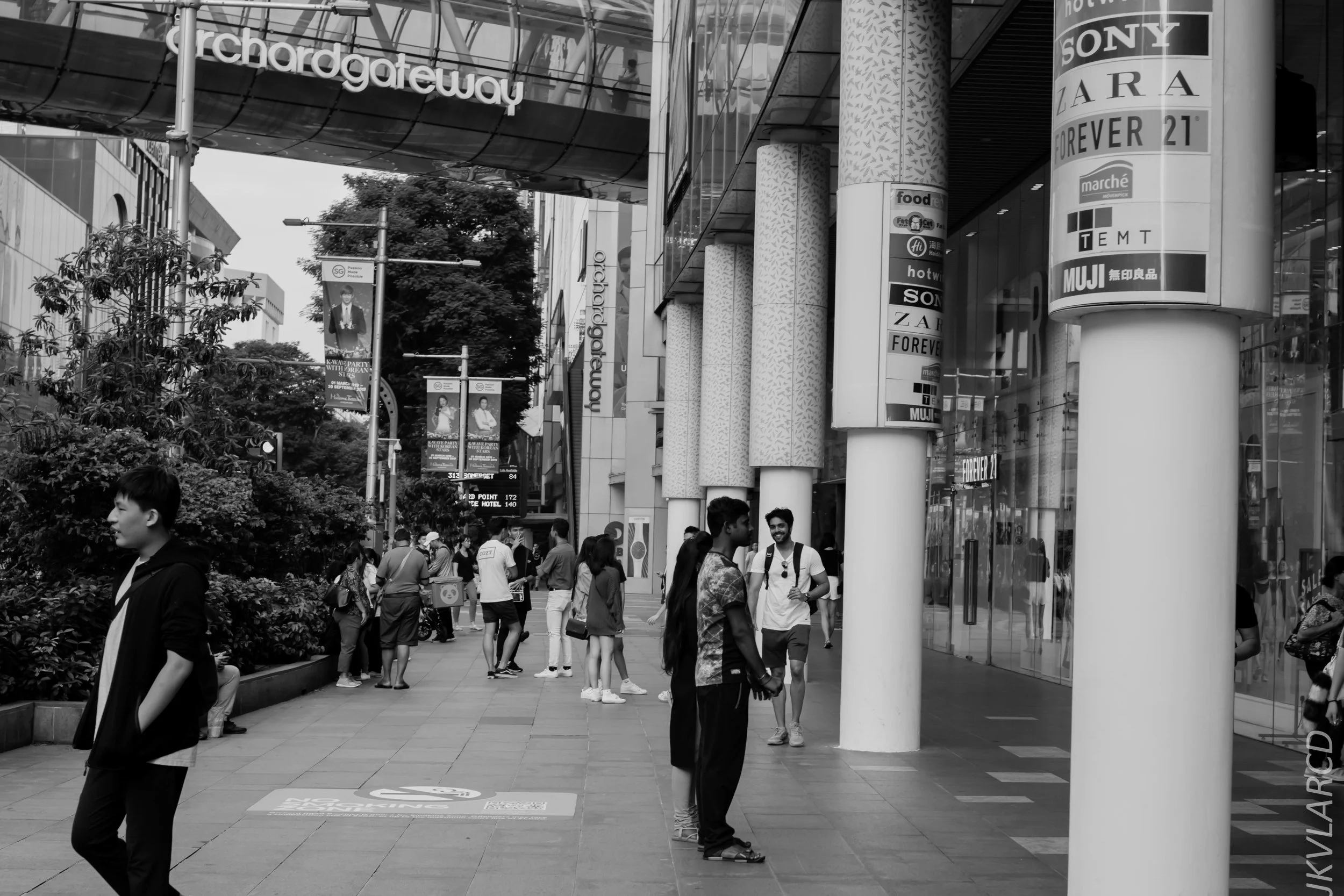 EOS 7D Mark II_2019_05_01_4207.jpg