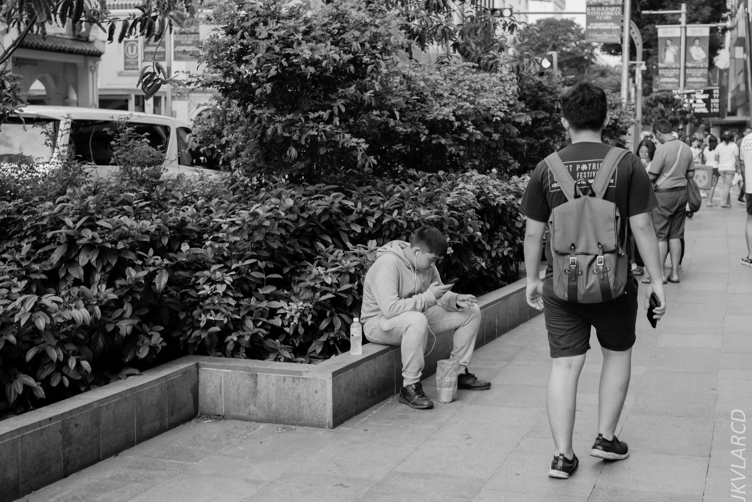 EOS 7D Mark II_2019_05_01_4208.jpg