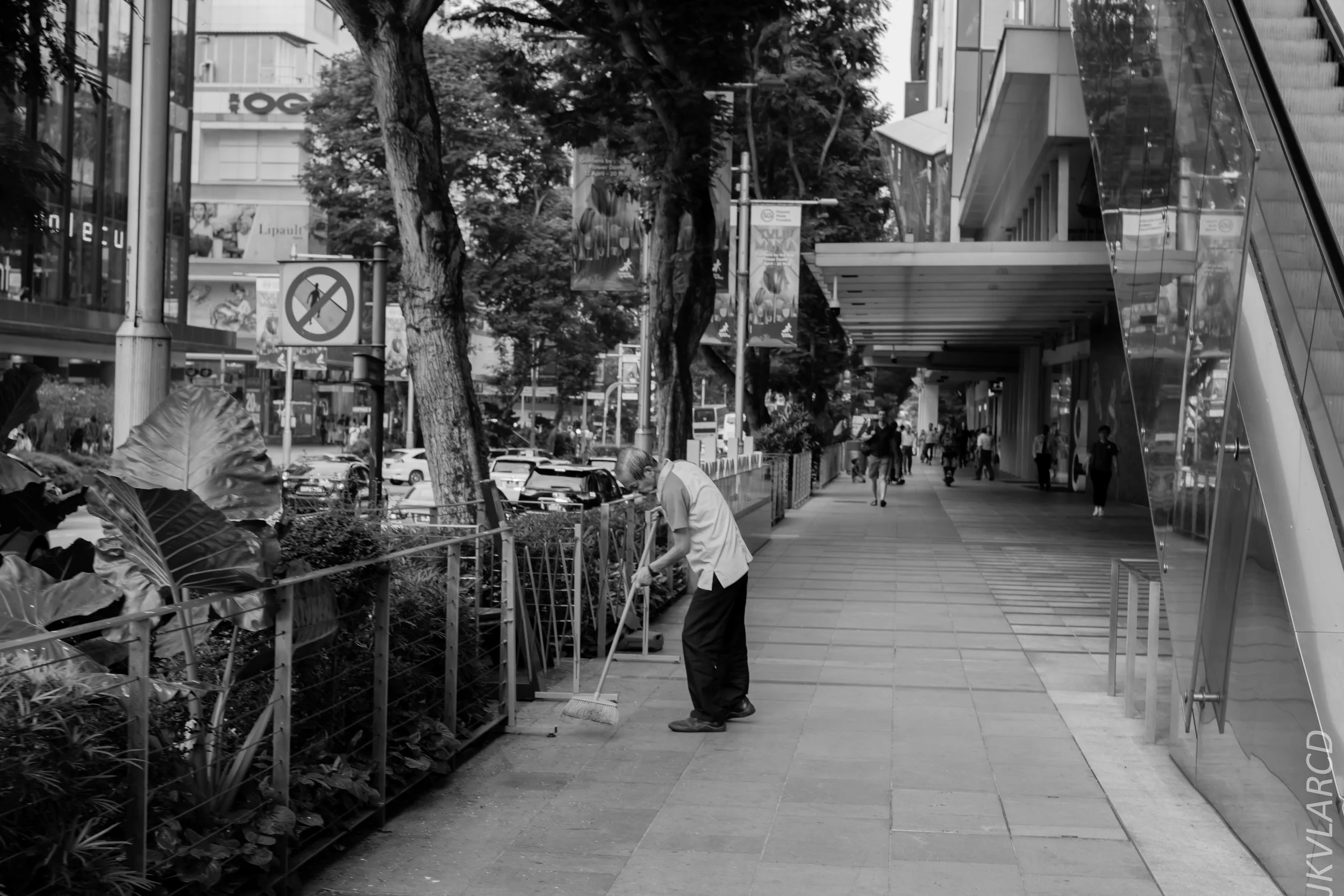 EOS 7D Mark II_2019_05_01_4210.jpg