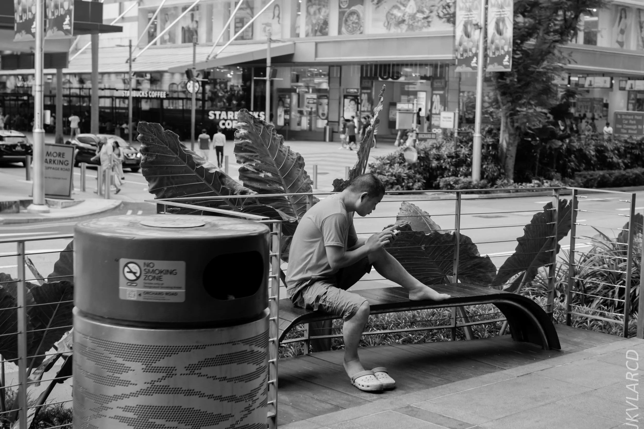 EOS 7D Mark II_2019_05_01_4212.jpg