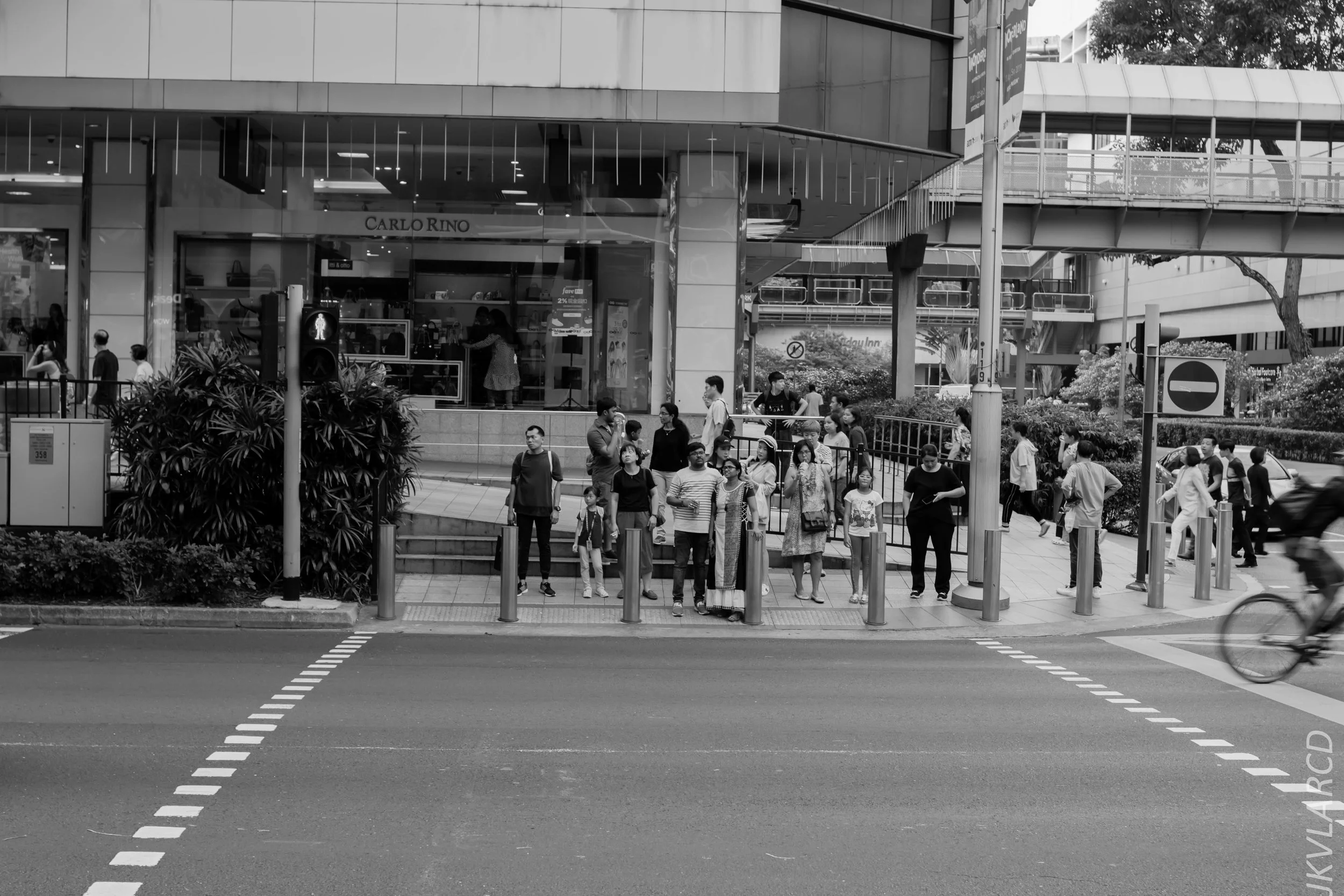 EOS 7D Mark II_2019_05_01_4215.jpg