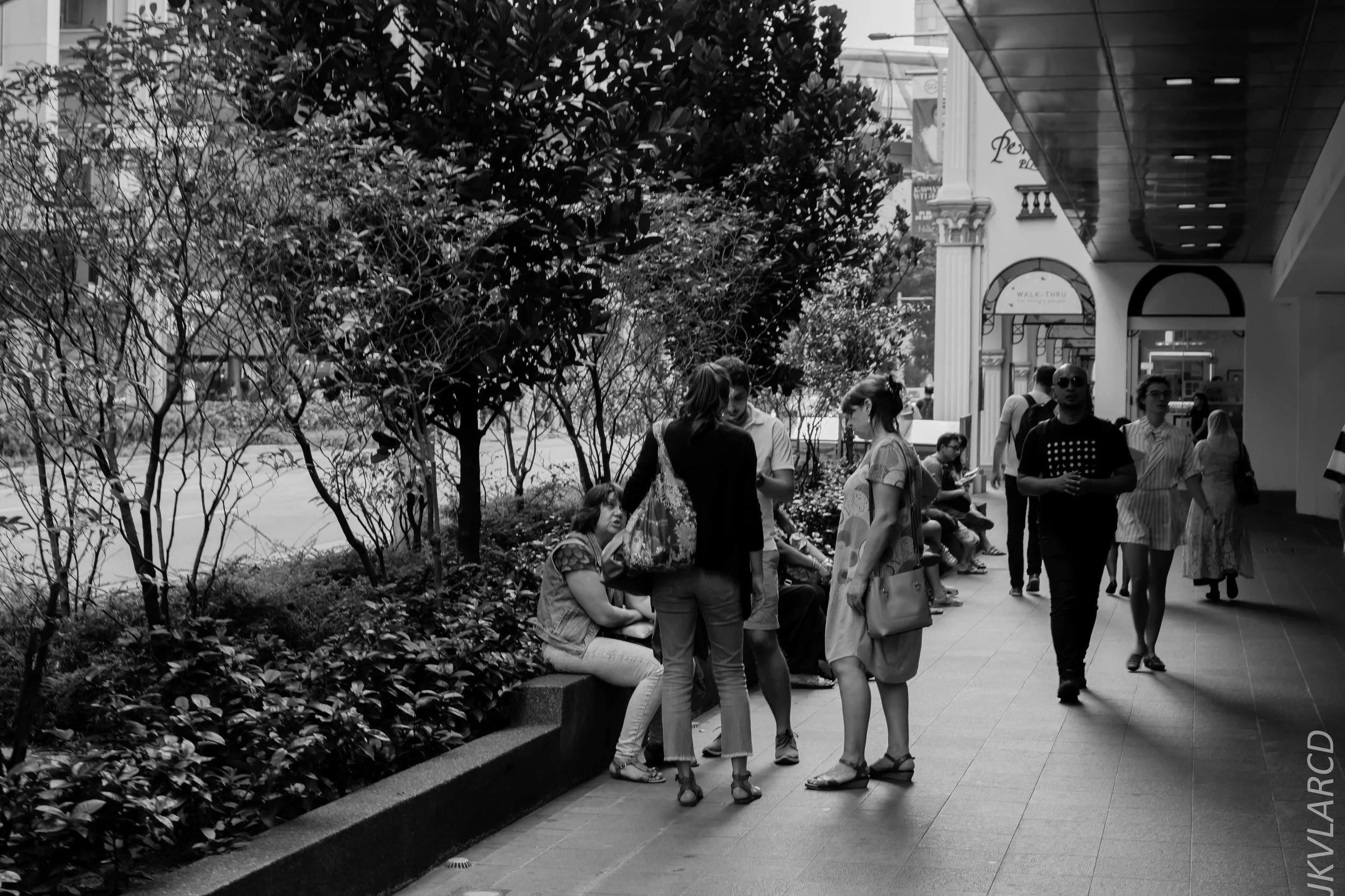 EOS 7D Mark II_2019_05_01_4217.jpg