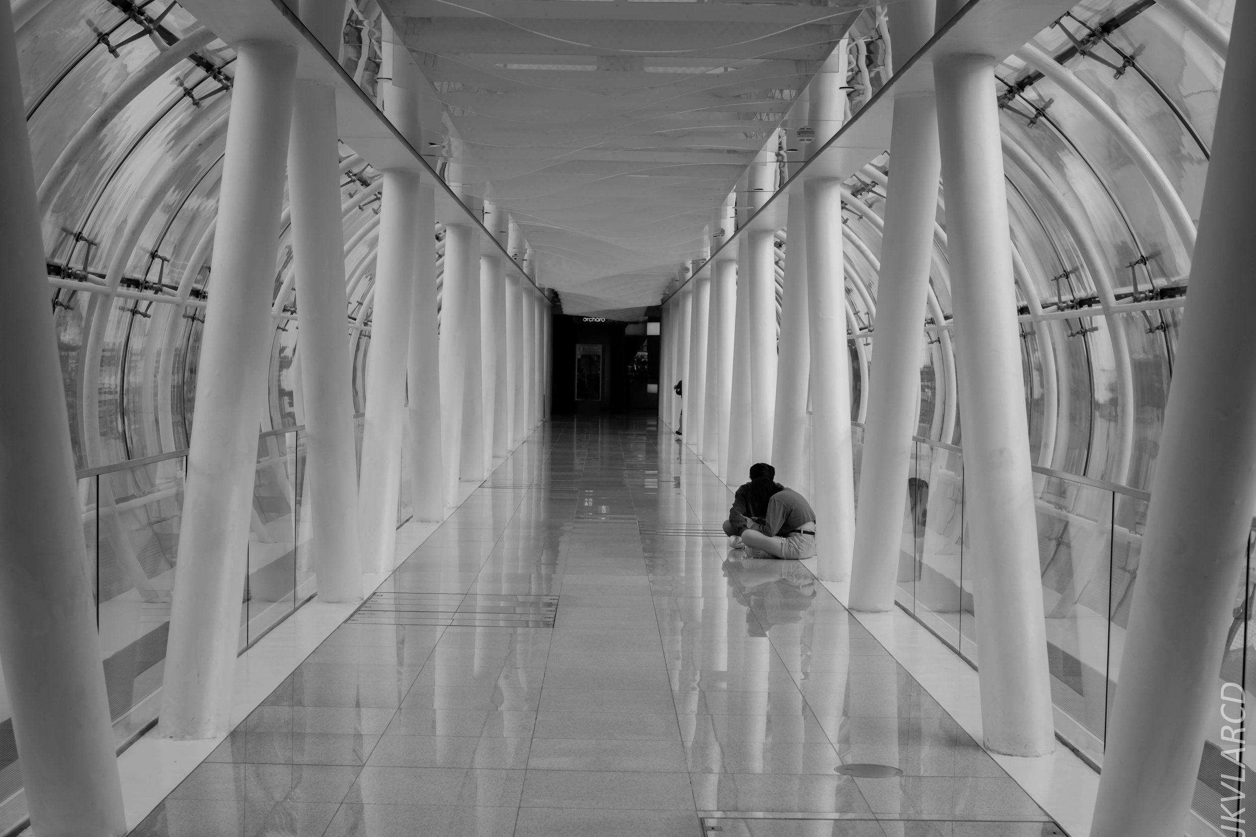 EOS 7D Mark II_2019_05_01_4222.jpg