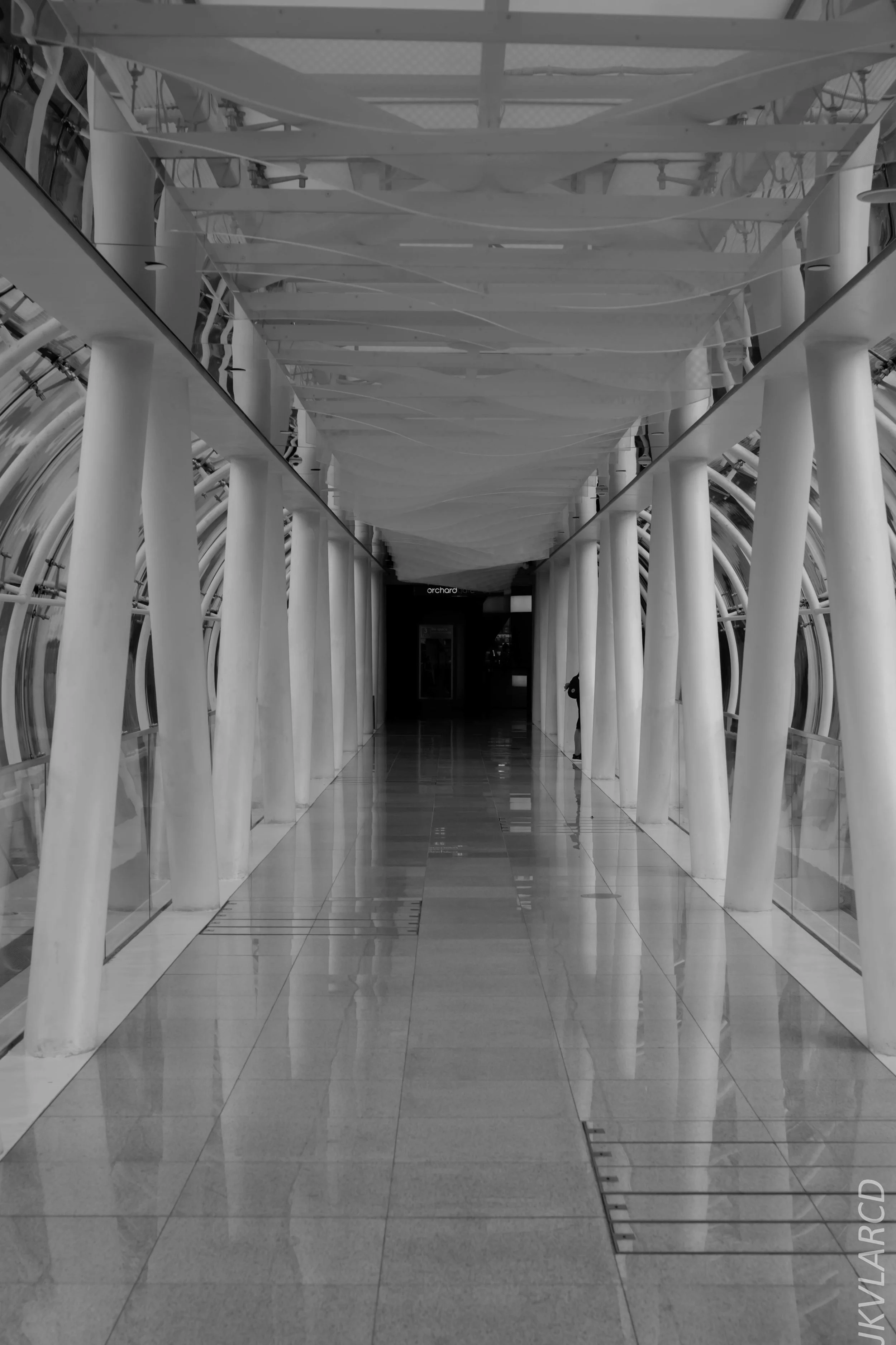 EOS 7D Mark II_2019_05_01_4223.jpg